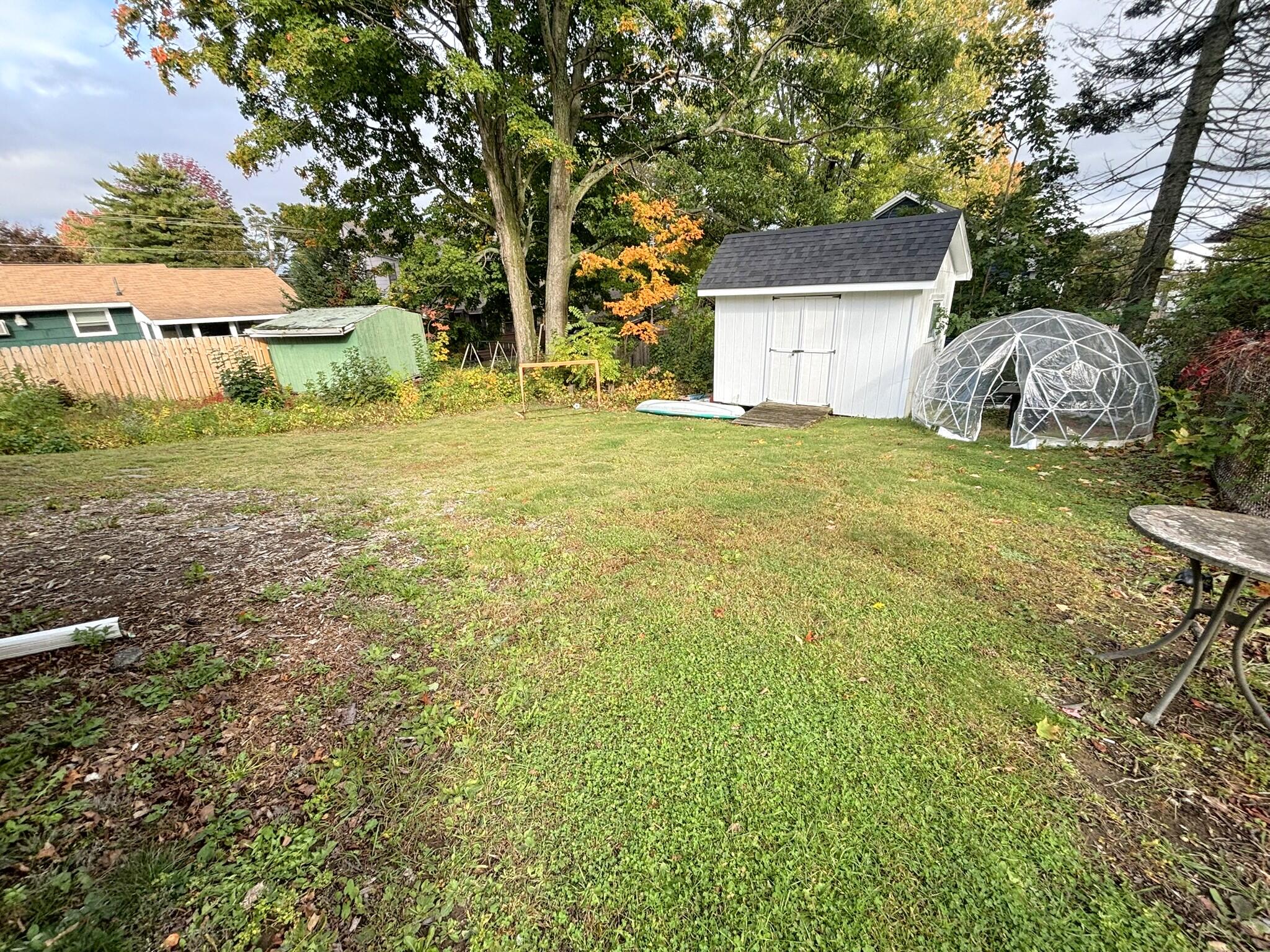 Back Yard