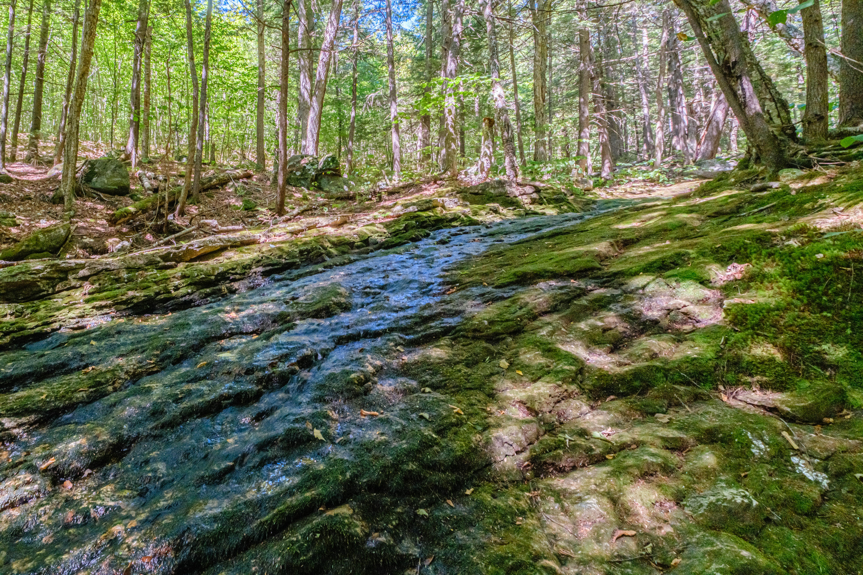 366 Glades View Avenue, Newry, ME, 04261