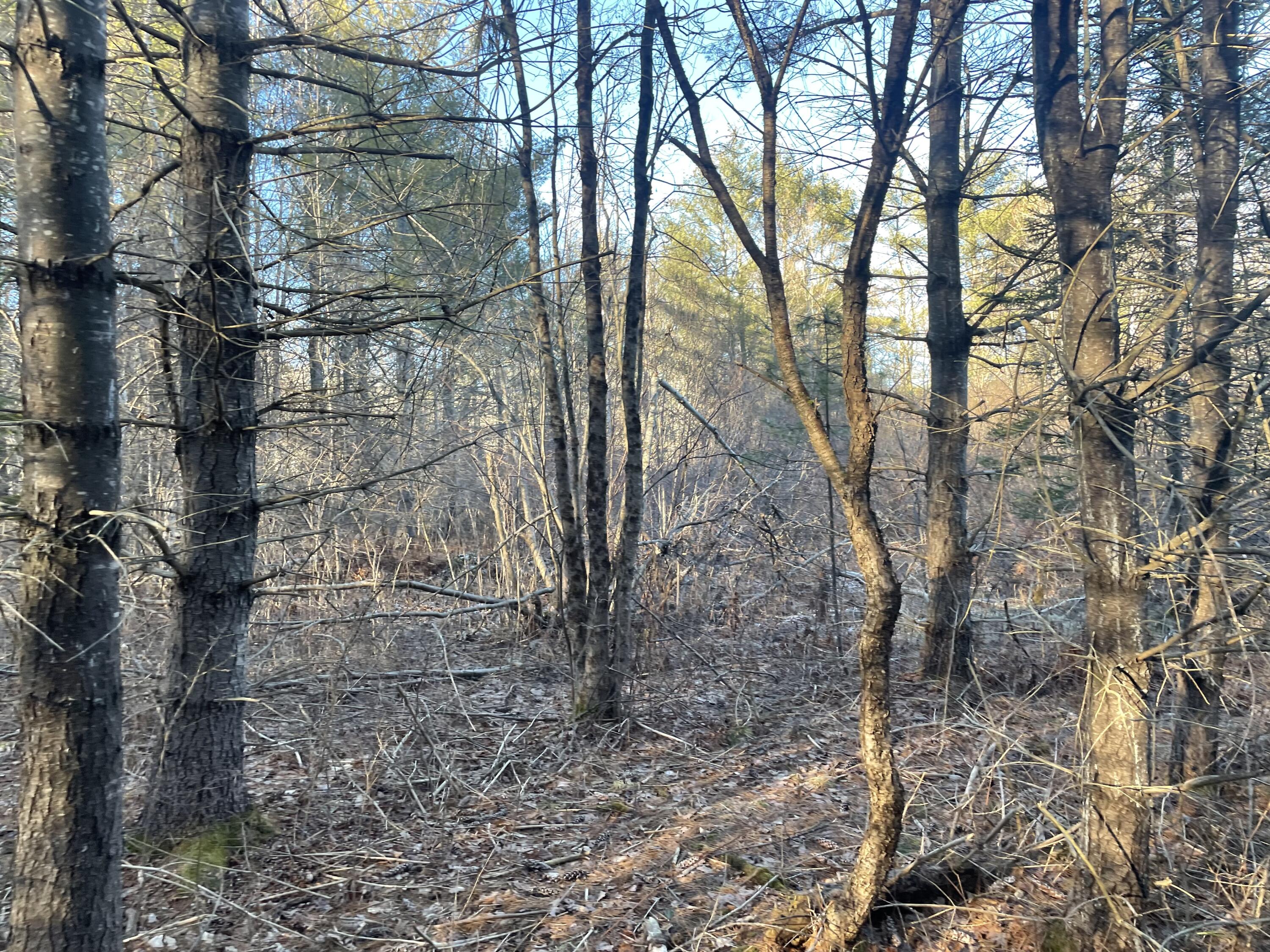 0 Cross Street, Manchester, ME, 04351