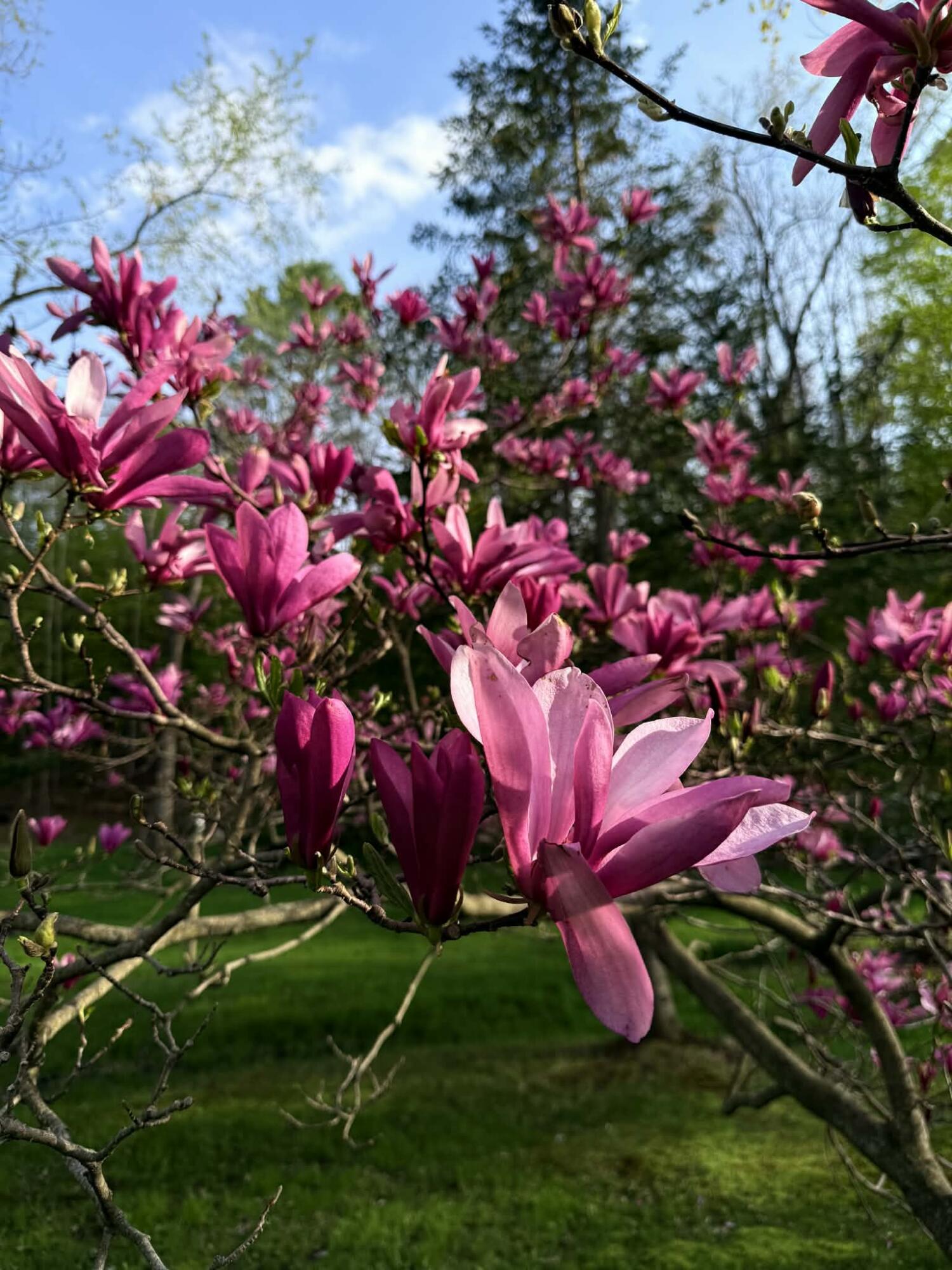 27 Turner Street, Buckfield, ME, 04220