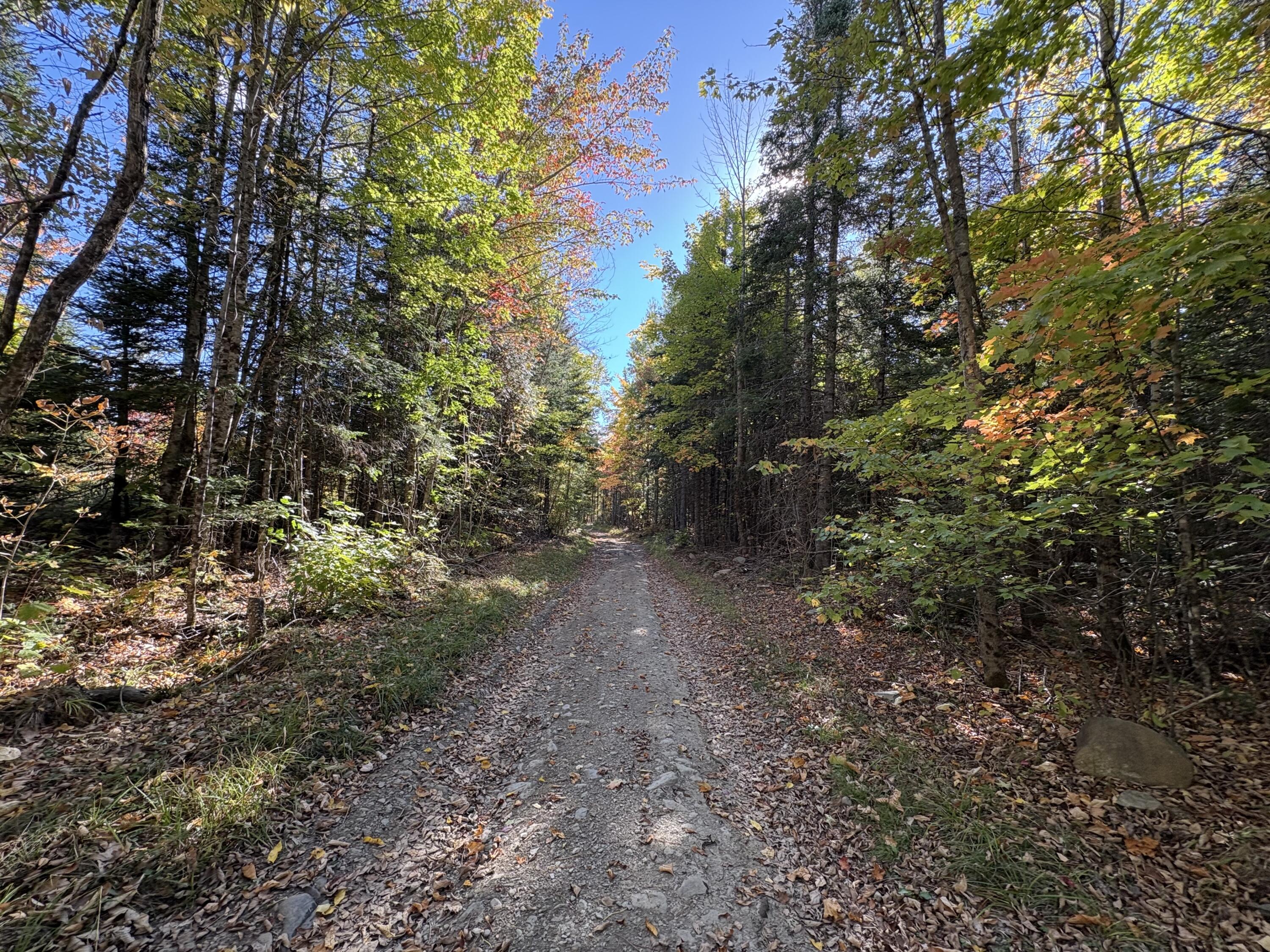 Map1Lot1 Rutland Road, Plymouth, ME, 04969
