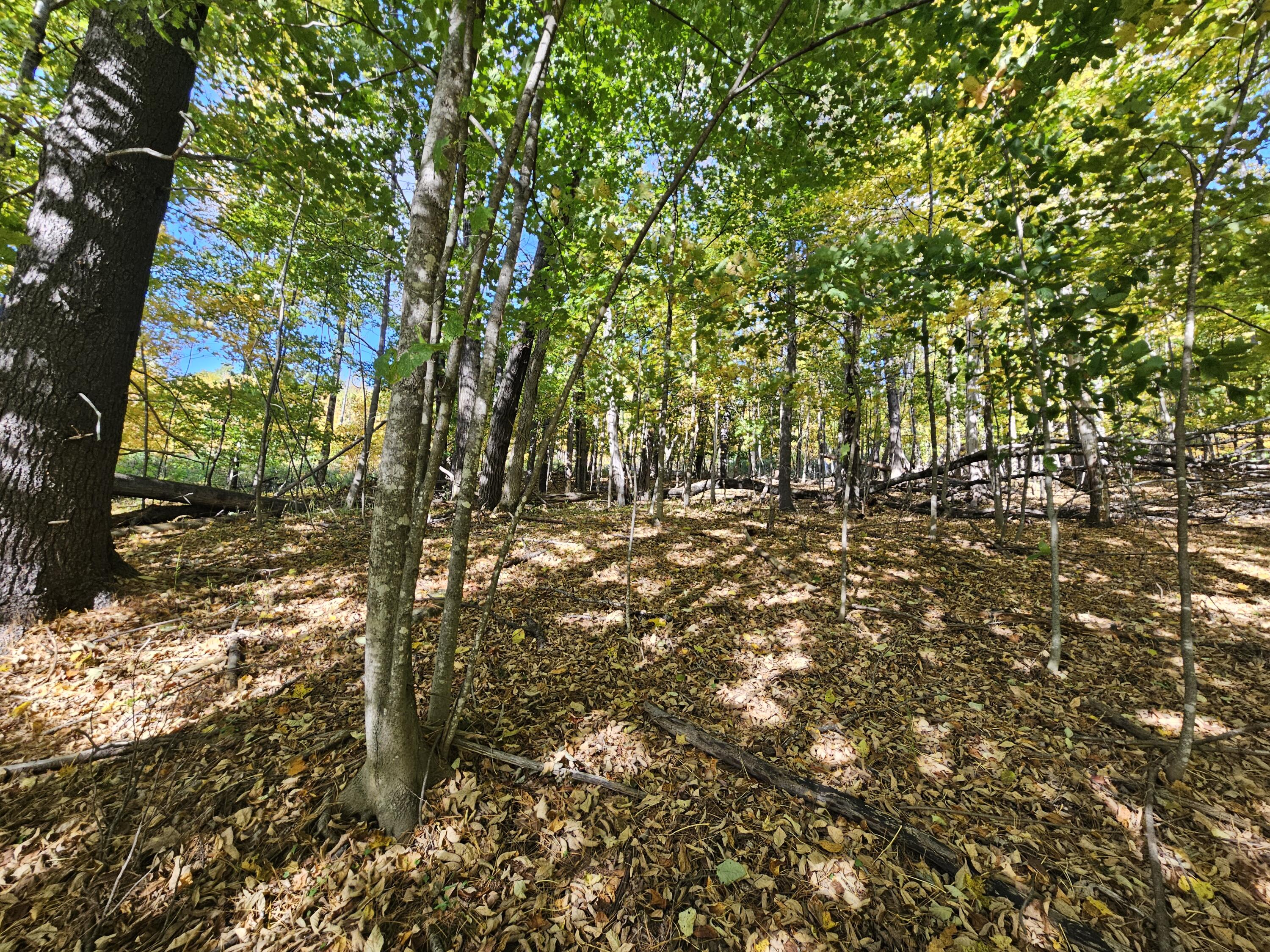 R-5 13-A Norton Hill Road, Strong, ME, 04983