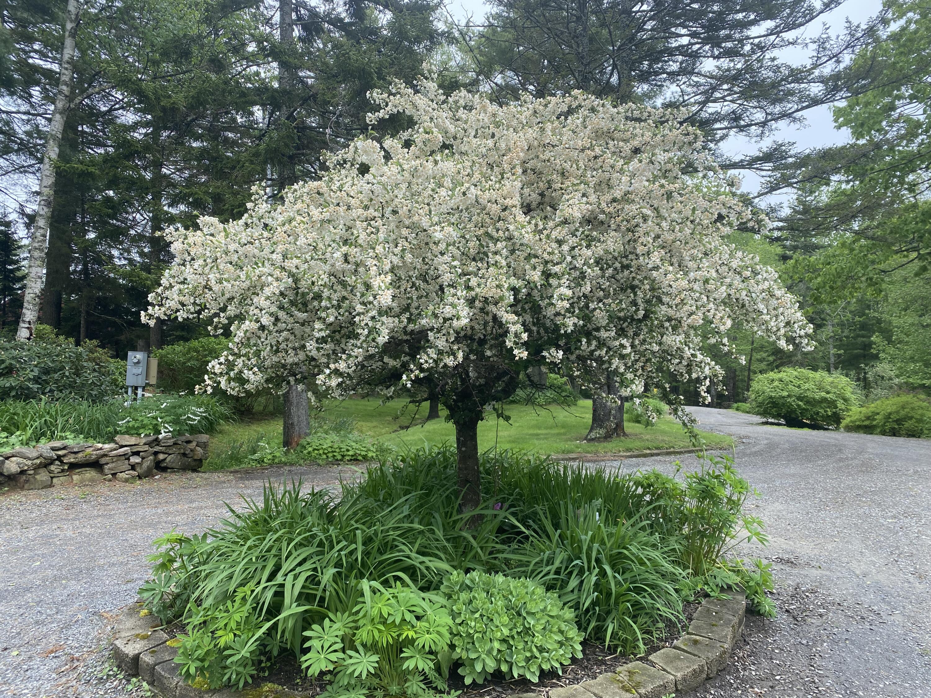 33 + 30 Taylor Road, Westport Island, ME, 04578