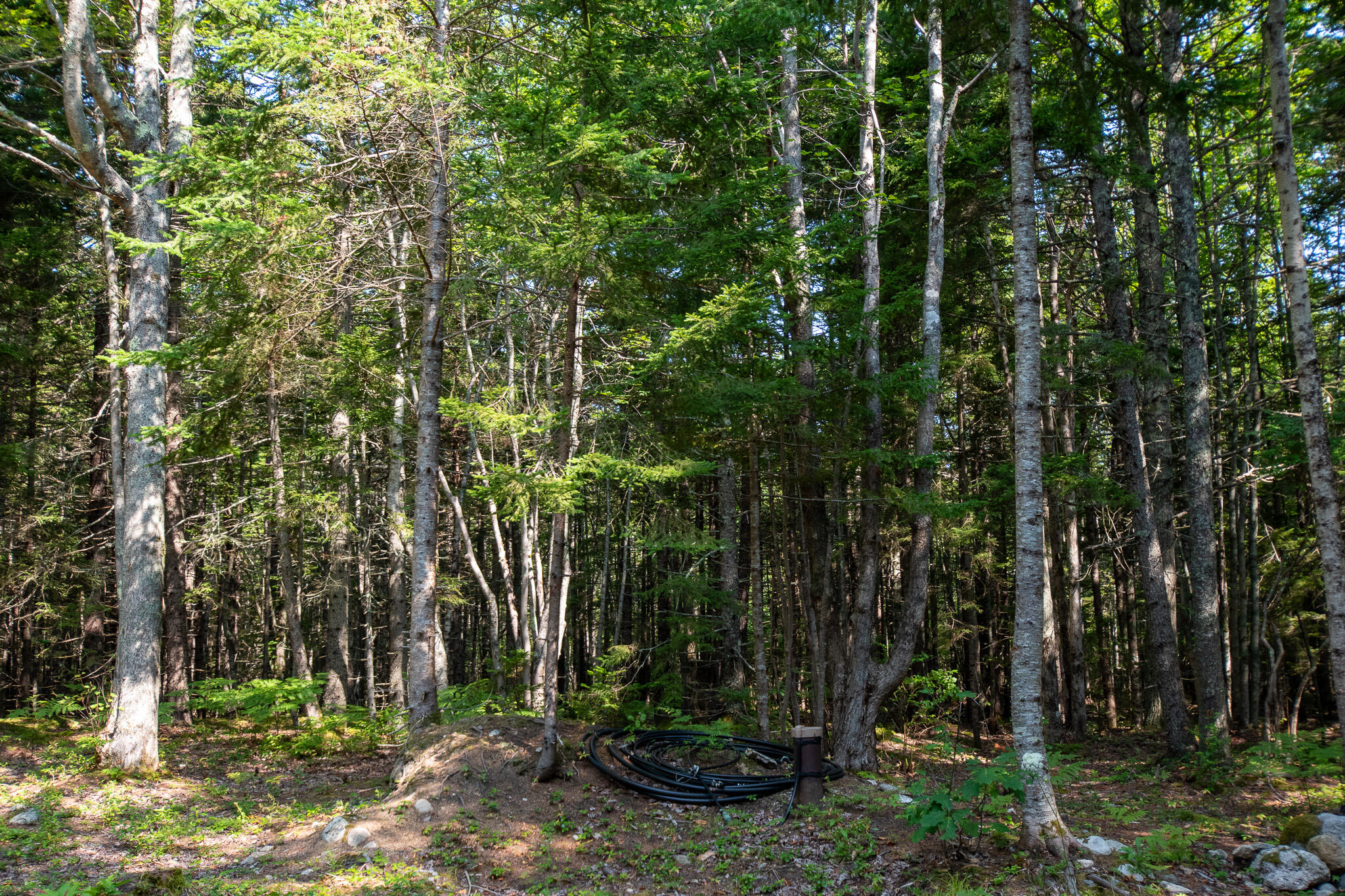 14 Pinkie Lane, Southport, ME, 04576