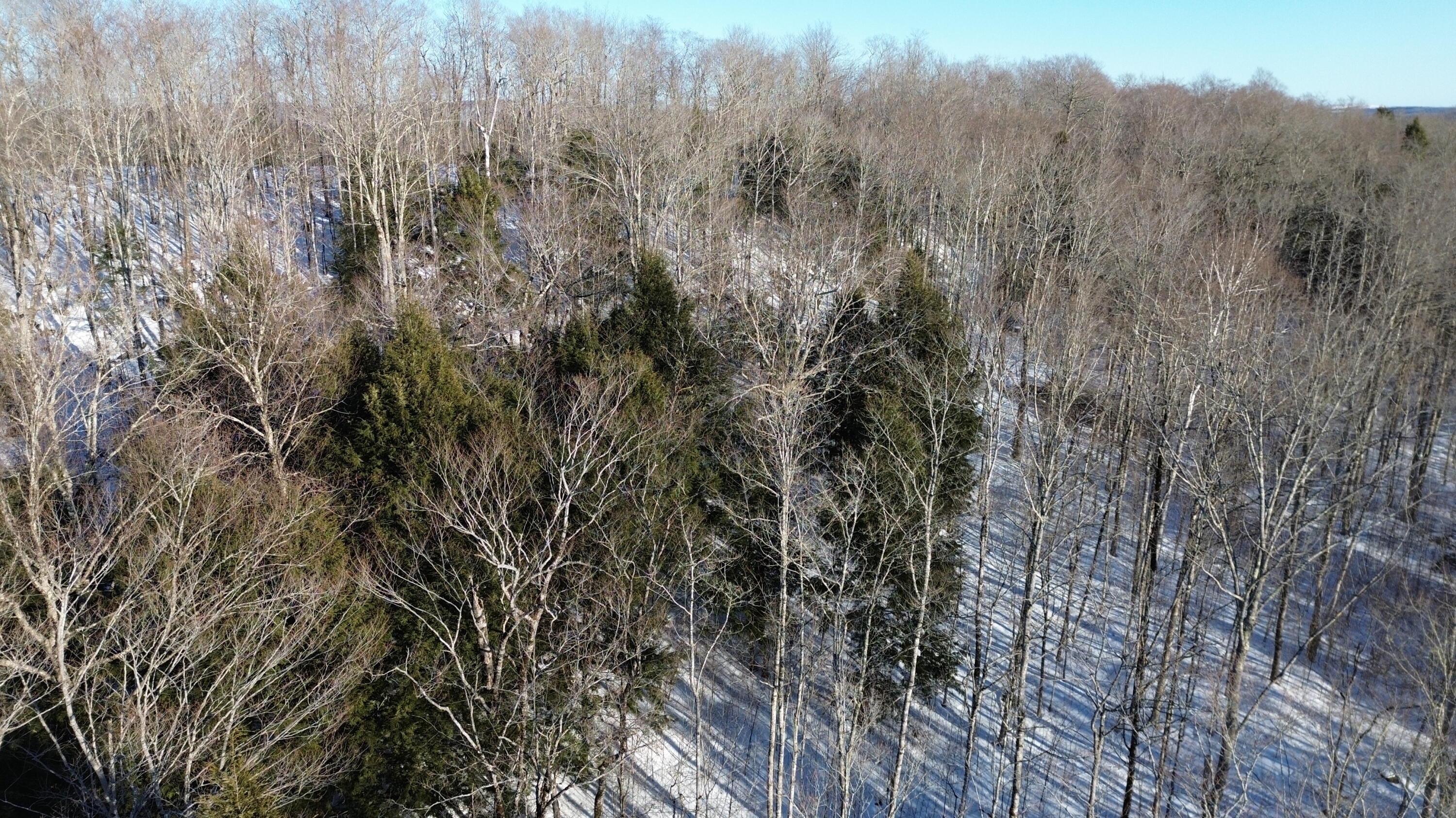 M7L22 Nelson Ridge Road N, Washington, ME, 04574