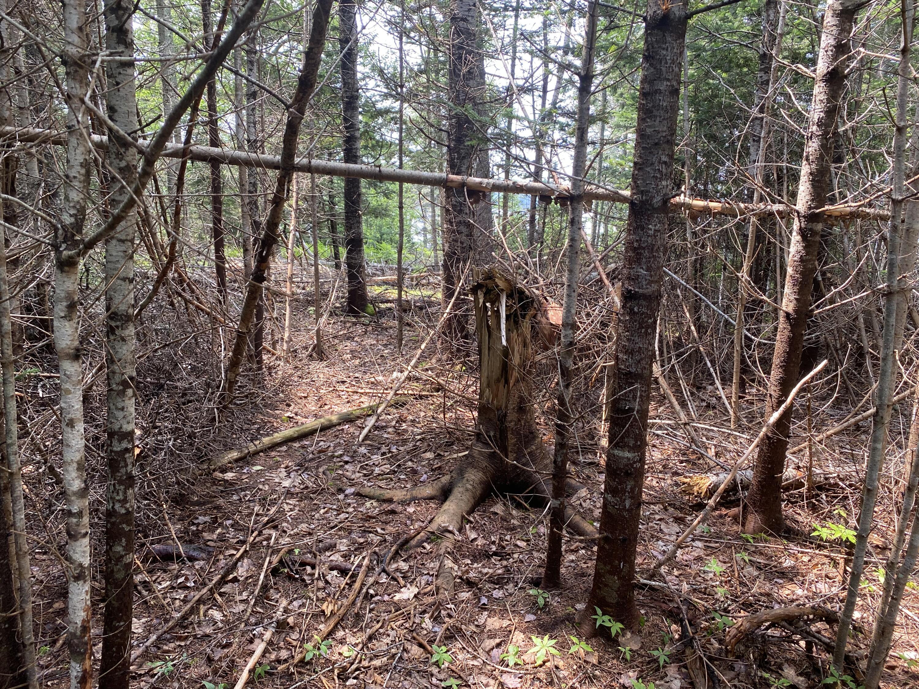 1552 Turtle Head Road, Islesboro, ME, 04848