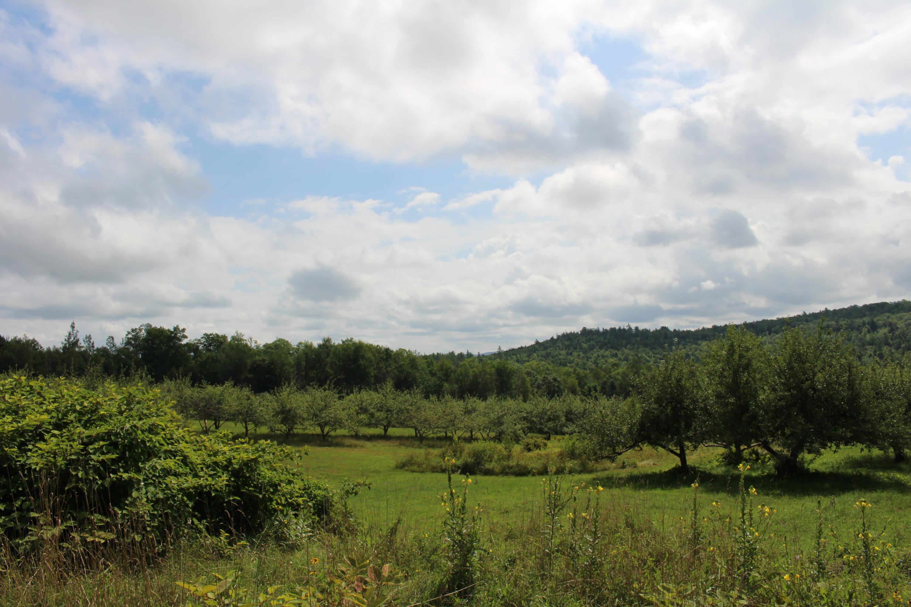684 Grover Hill Road, Bethel, ME, 04217