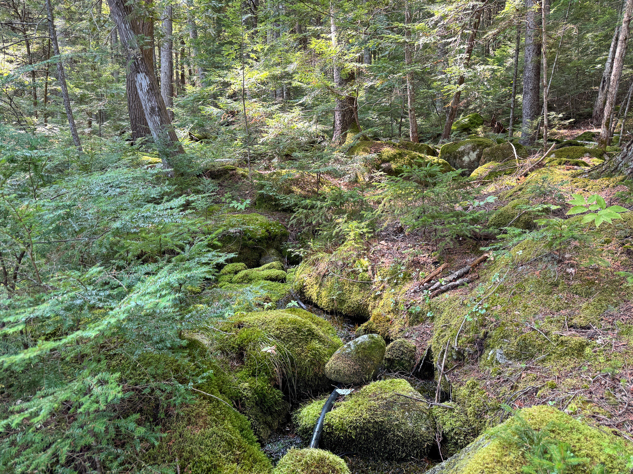 P/O M29L23 Bluff Road, Enfield, ME, 04493