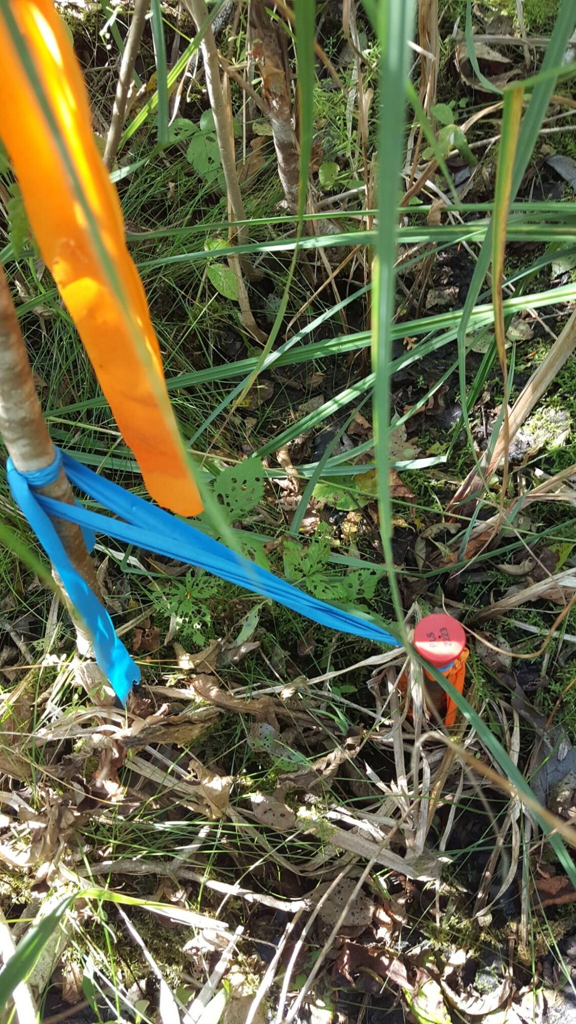 M4 96 & 99 Parker Pond Road, Jay, ME, 04239