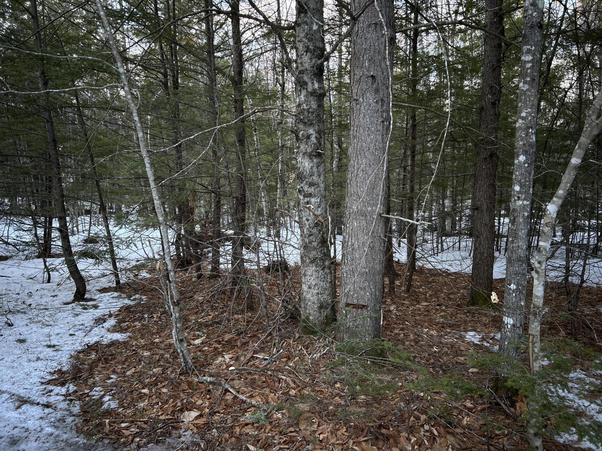 Map13Lot11 Field View Road, Fryeburg, ME, 04037