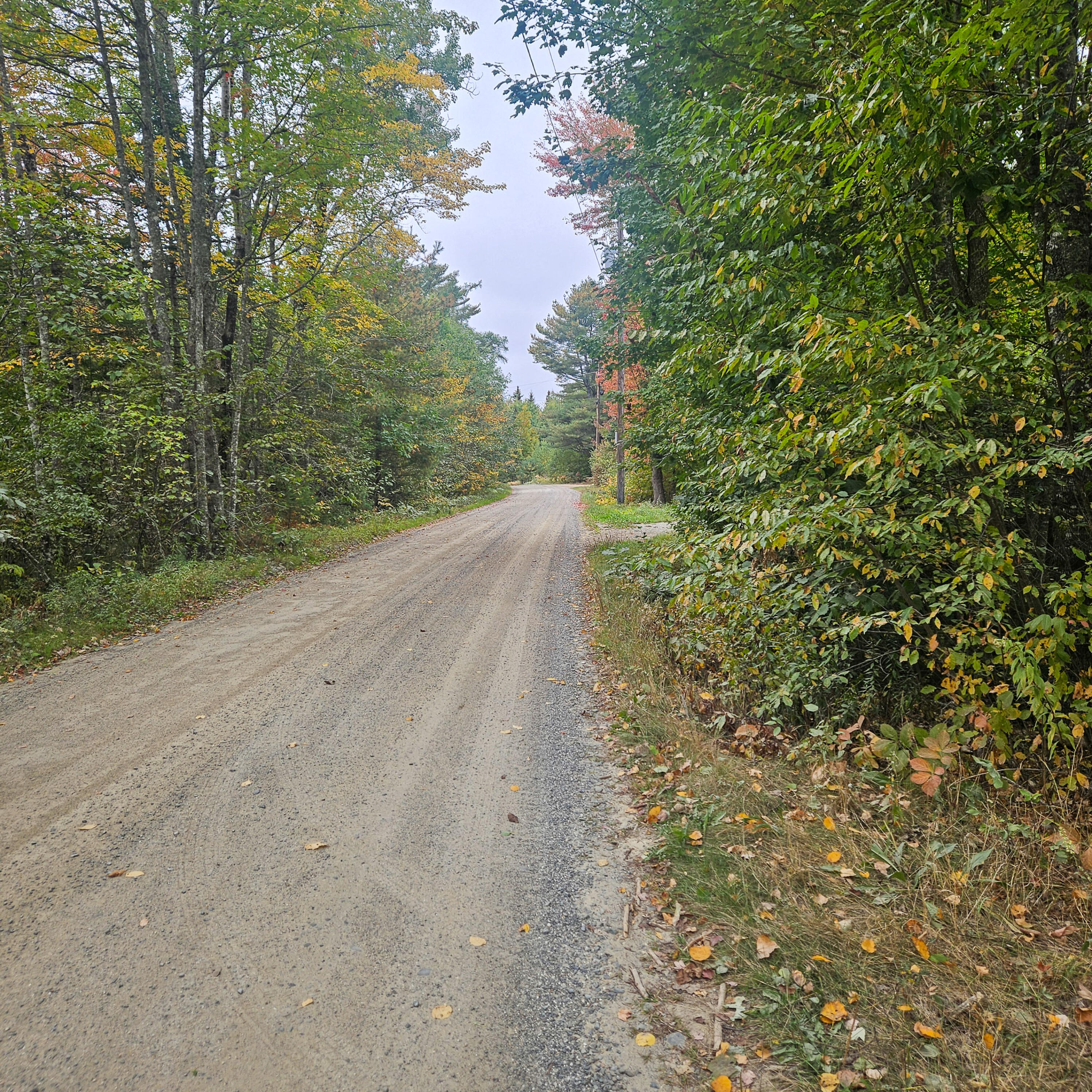 206 Morrison Farm Road, Mariaville, ME, 04605