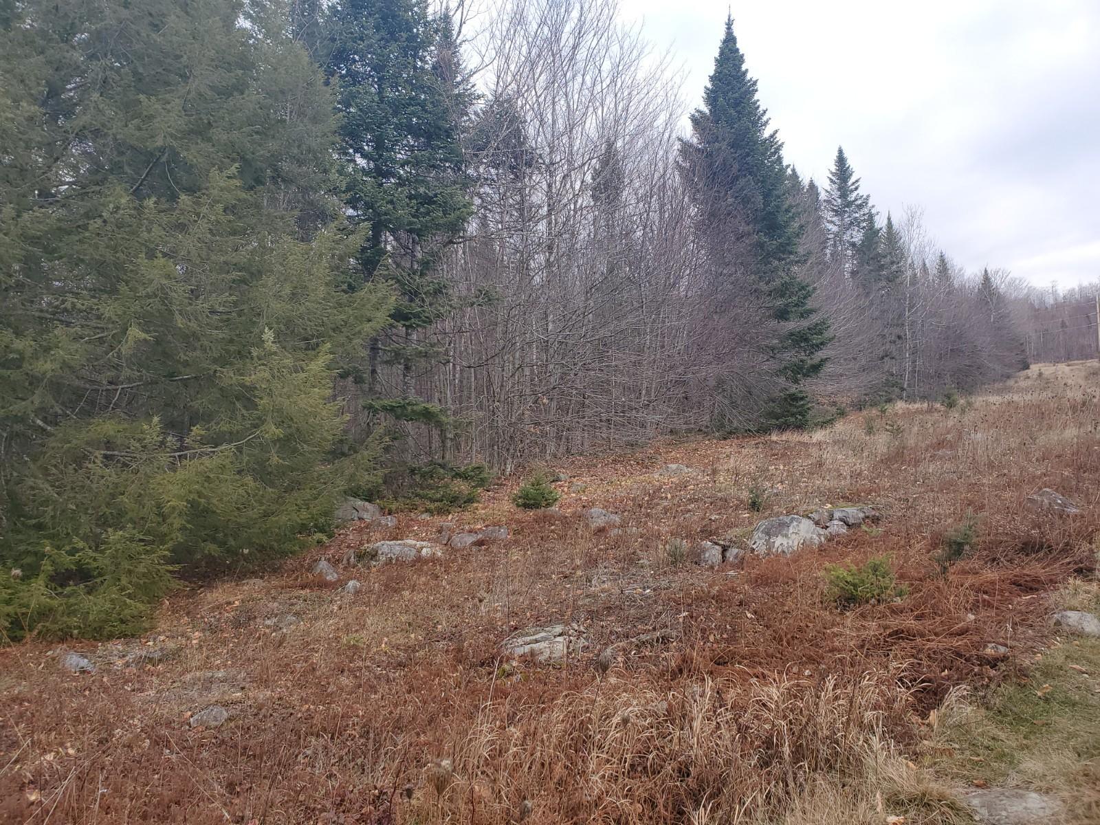 Lot 4 West of May Mountain Road, Island Falls, ME, 04747