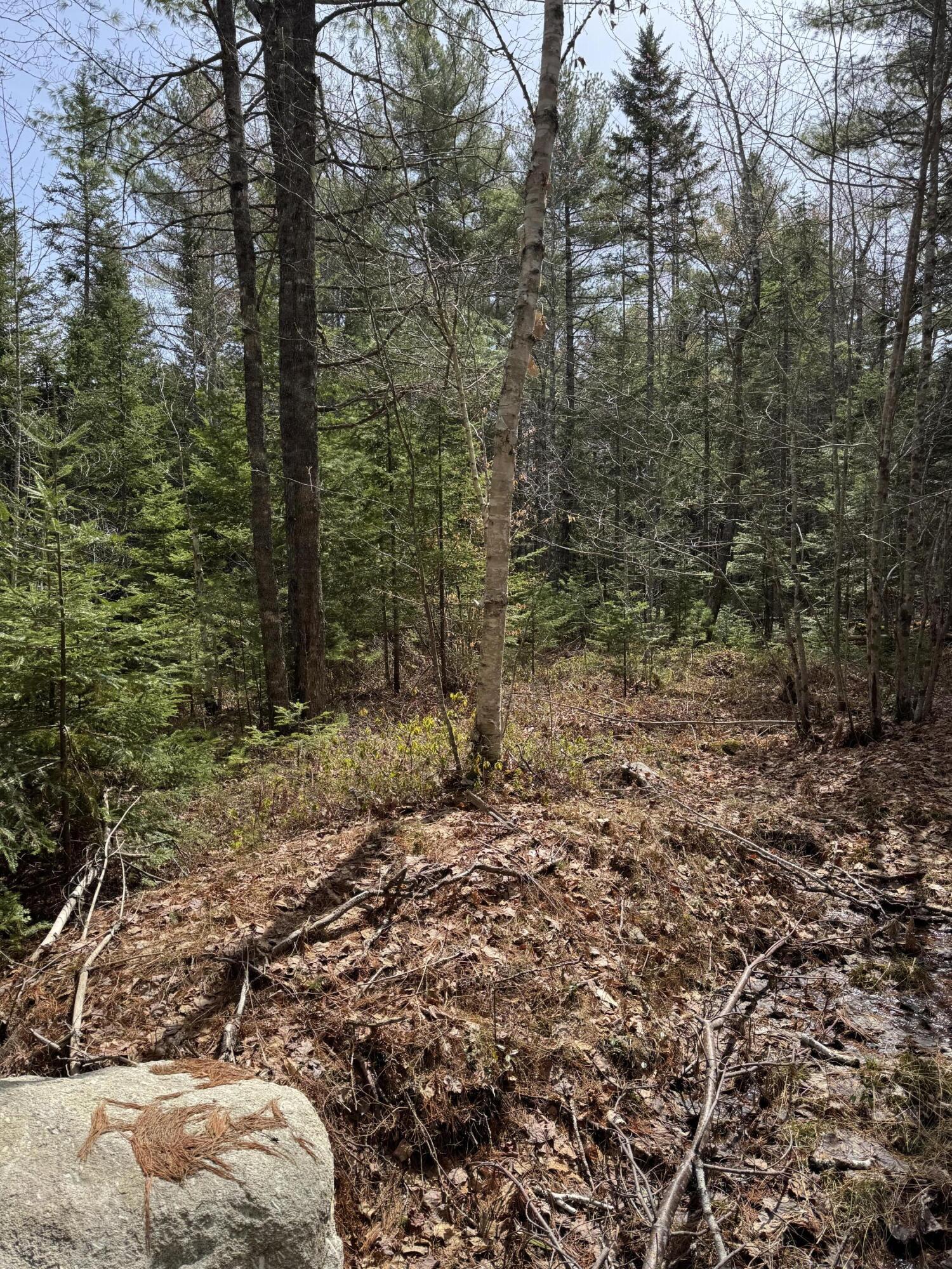 18-B Back Pasture Lane, Blue Hill, ME, 04614