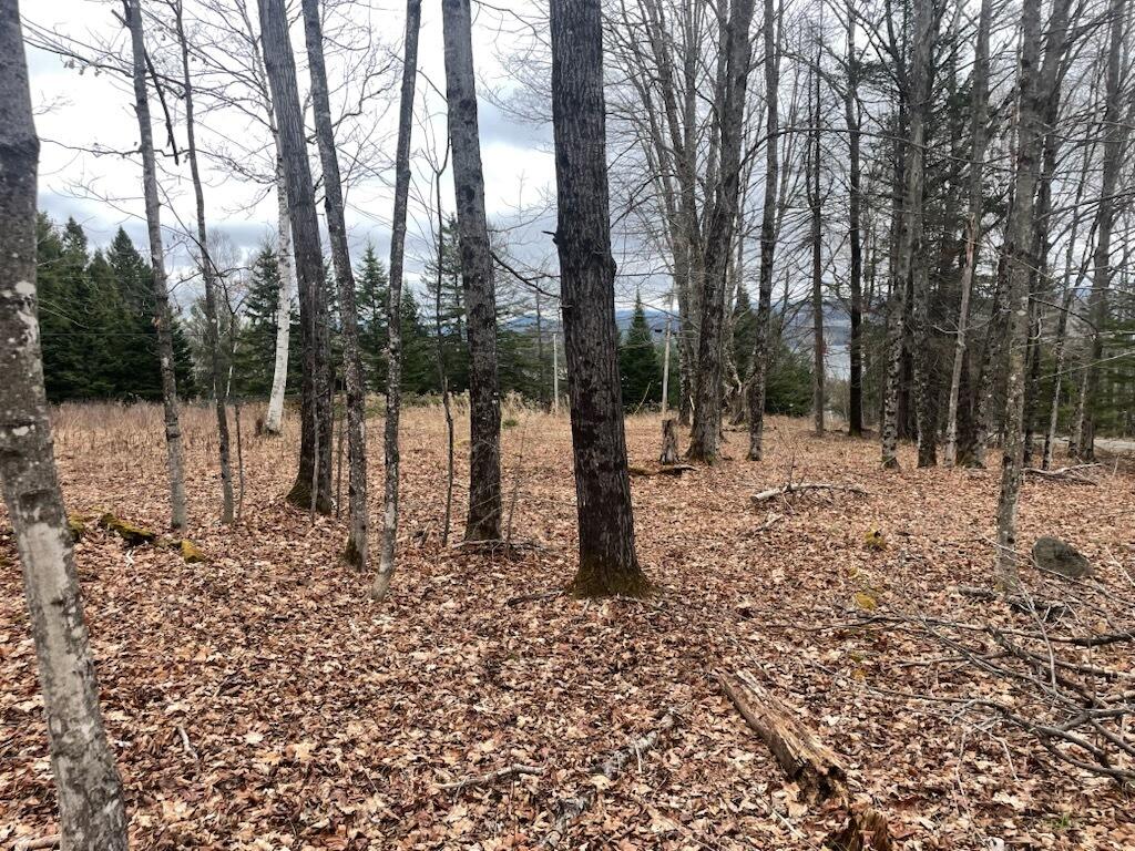 Lot 016-2 142 Old Fisher Rd Road, Holden, ME, 04429