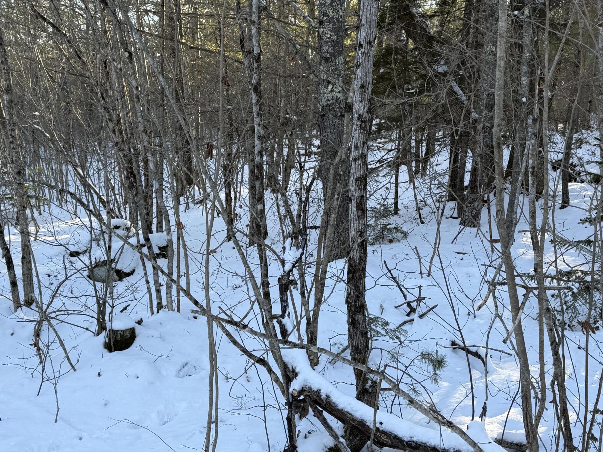 Lot 068003 Shore Road, Bremen, ME, 04551