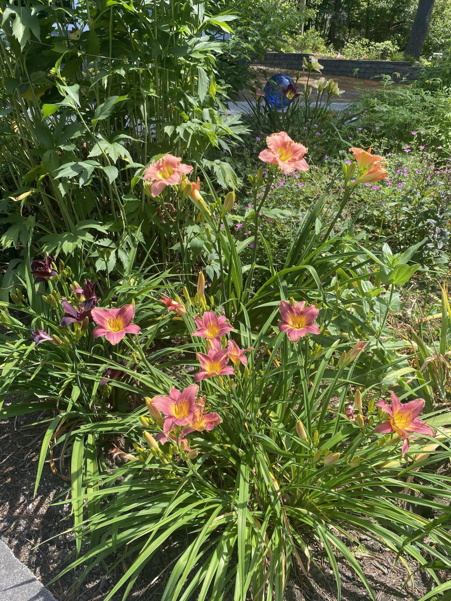 71A Black Point Road, New Gloucester, ME, 04260