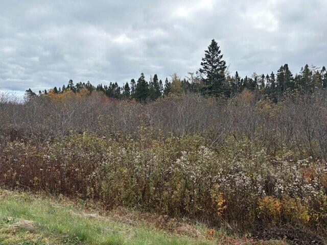 Map 402 Lot 3, Rumford, ME, 04276