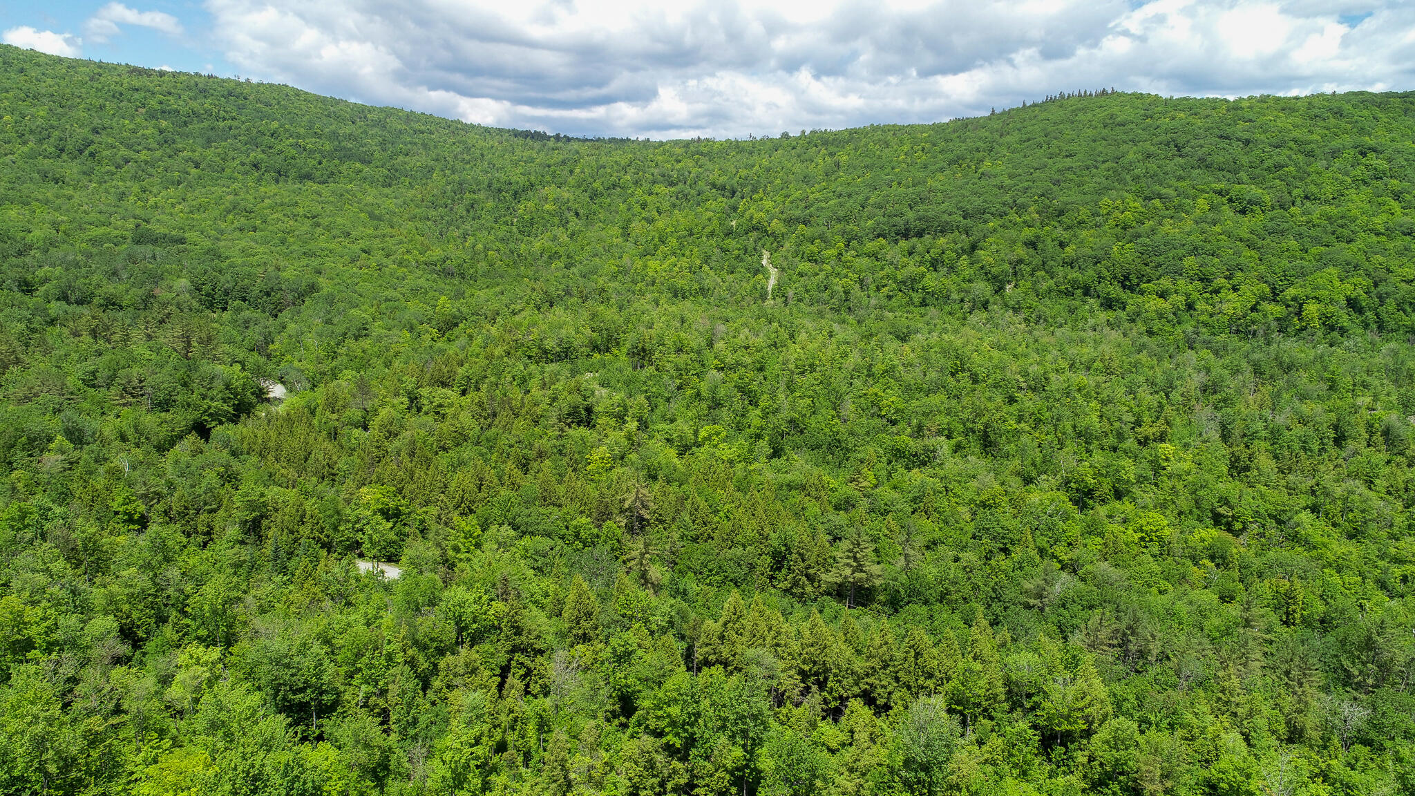 Map 203 Lot 001, Rumford, ME, 04276