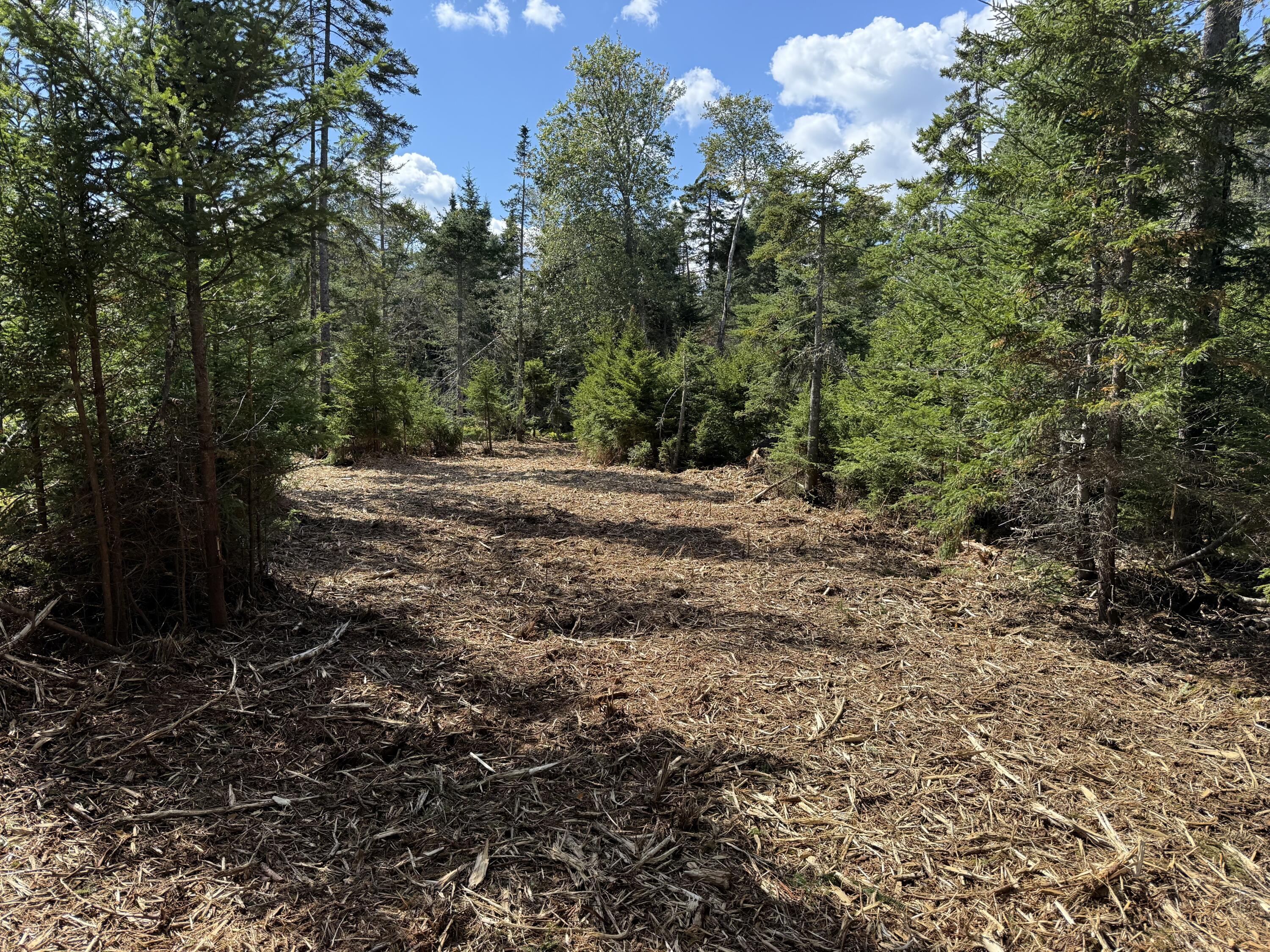 1552 Turtle Head Road, Islesboro, ME, 04848