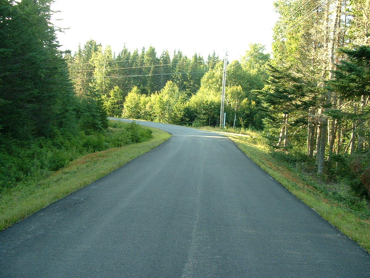 Lot 17A Yoho Head Road, Machiasport, ME, 04655