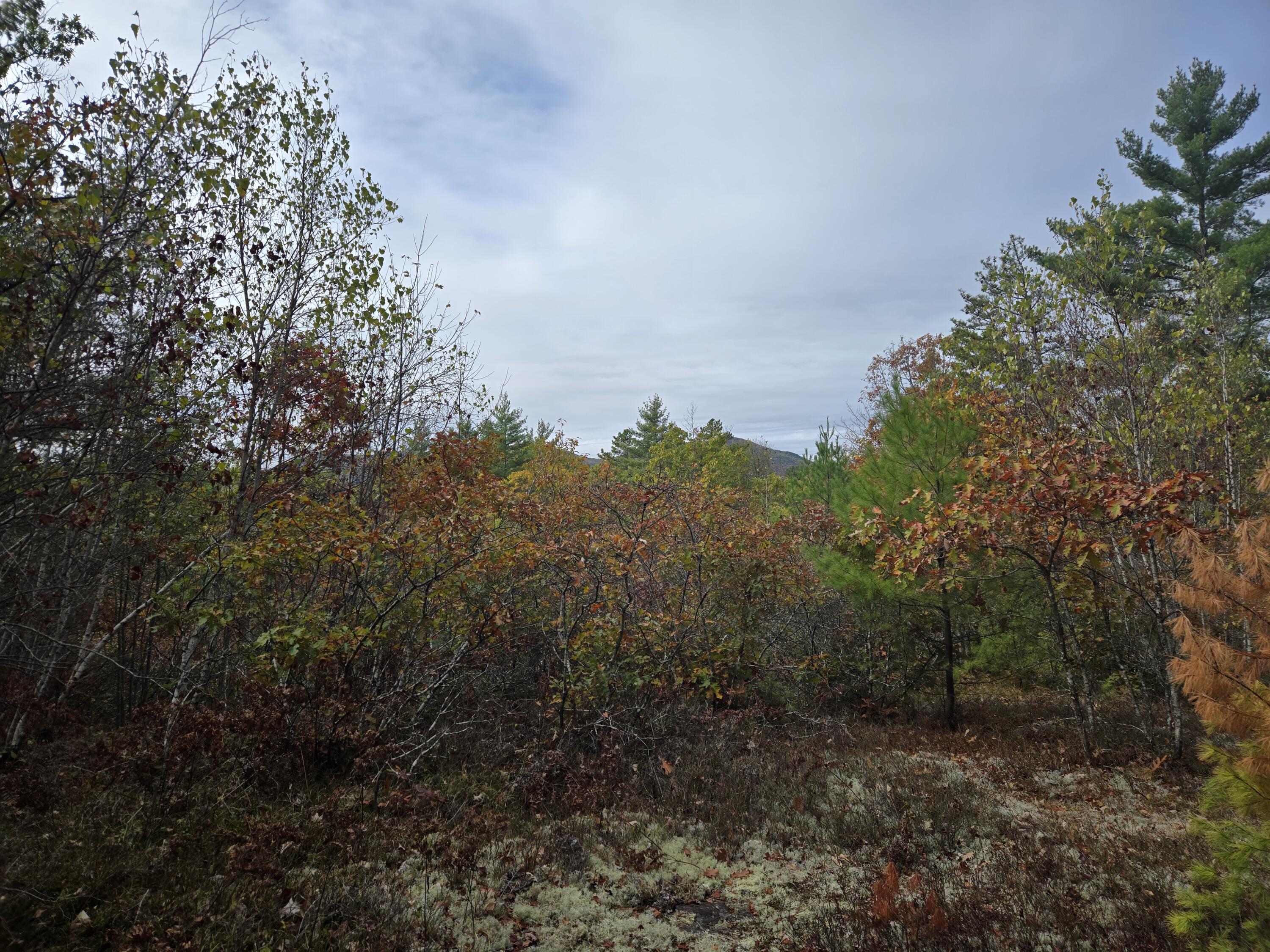 133 Plantation Lane, Brownfield, ME, 04010