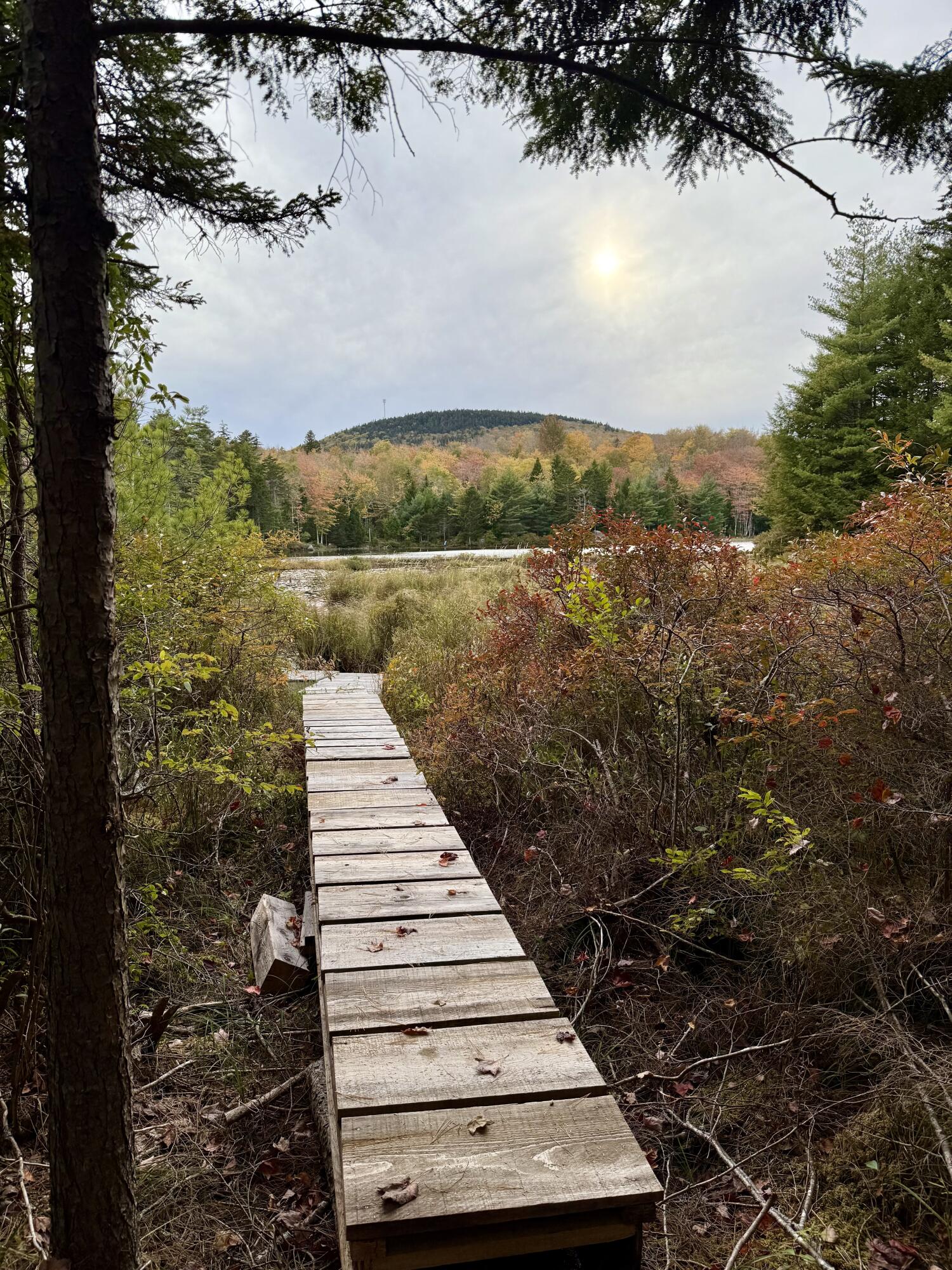Photo of 0 Pine Hill Lane Blue Hill ME 04614