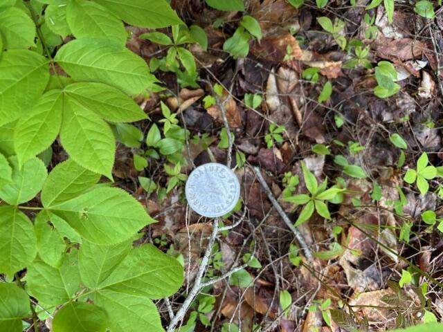 44A Trott Road Road, Woolwich, ME, 04579