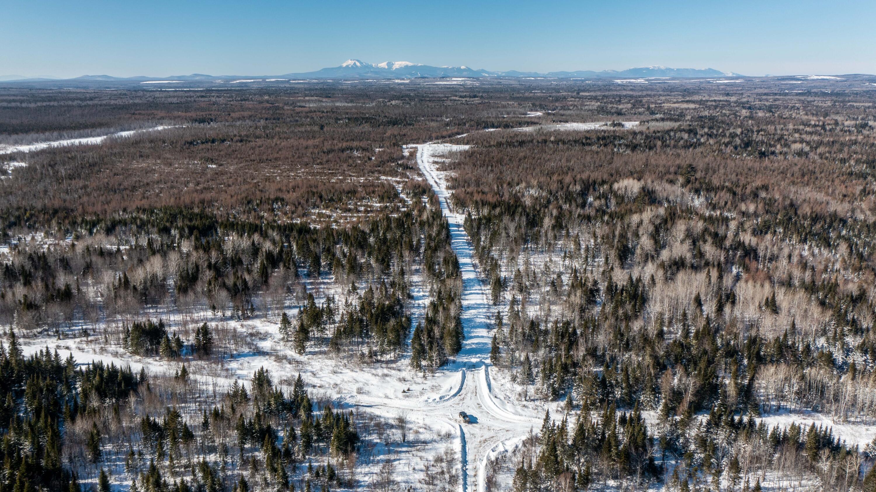 Aerial view of a snow-covered forest and winding road, with mountains on the horizon.