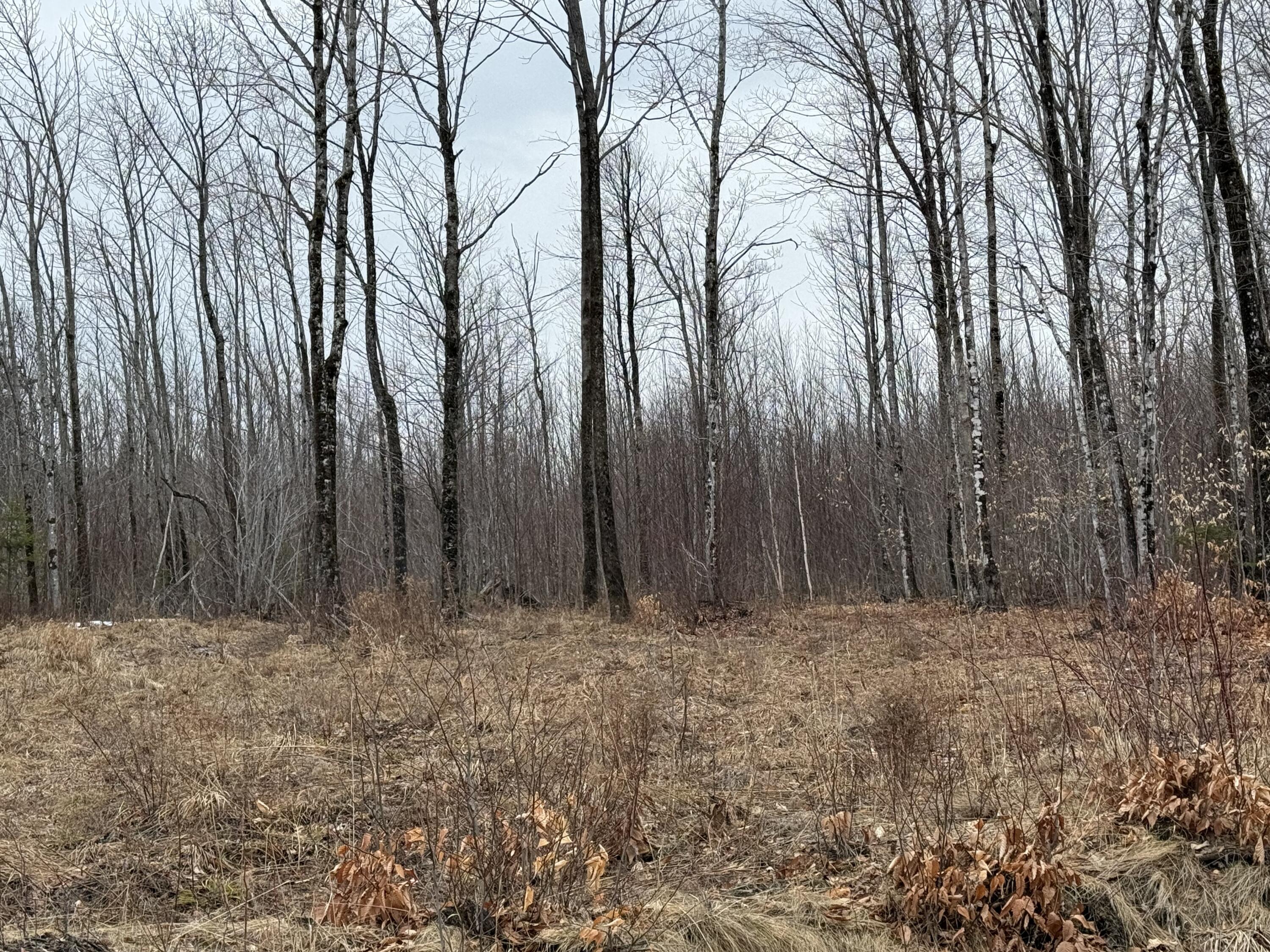 Lot 13W Mountain View Drive, Temple, ME, 04984