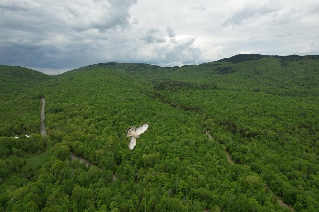 2401 Long Falls Dam Road, Highland Plt, ME, 04961