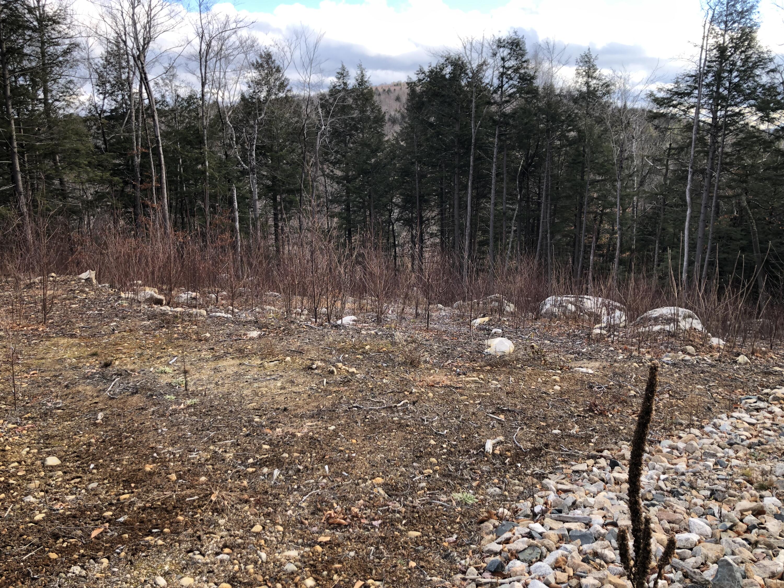Lot 67 Snowbird Lane, Newry, ME, 04261