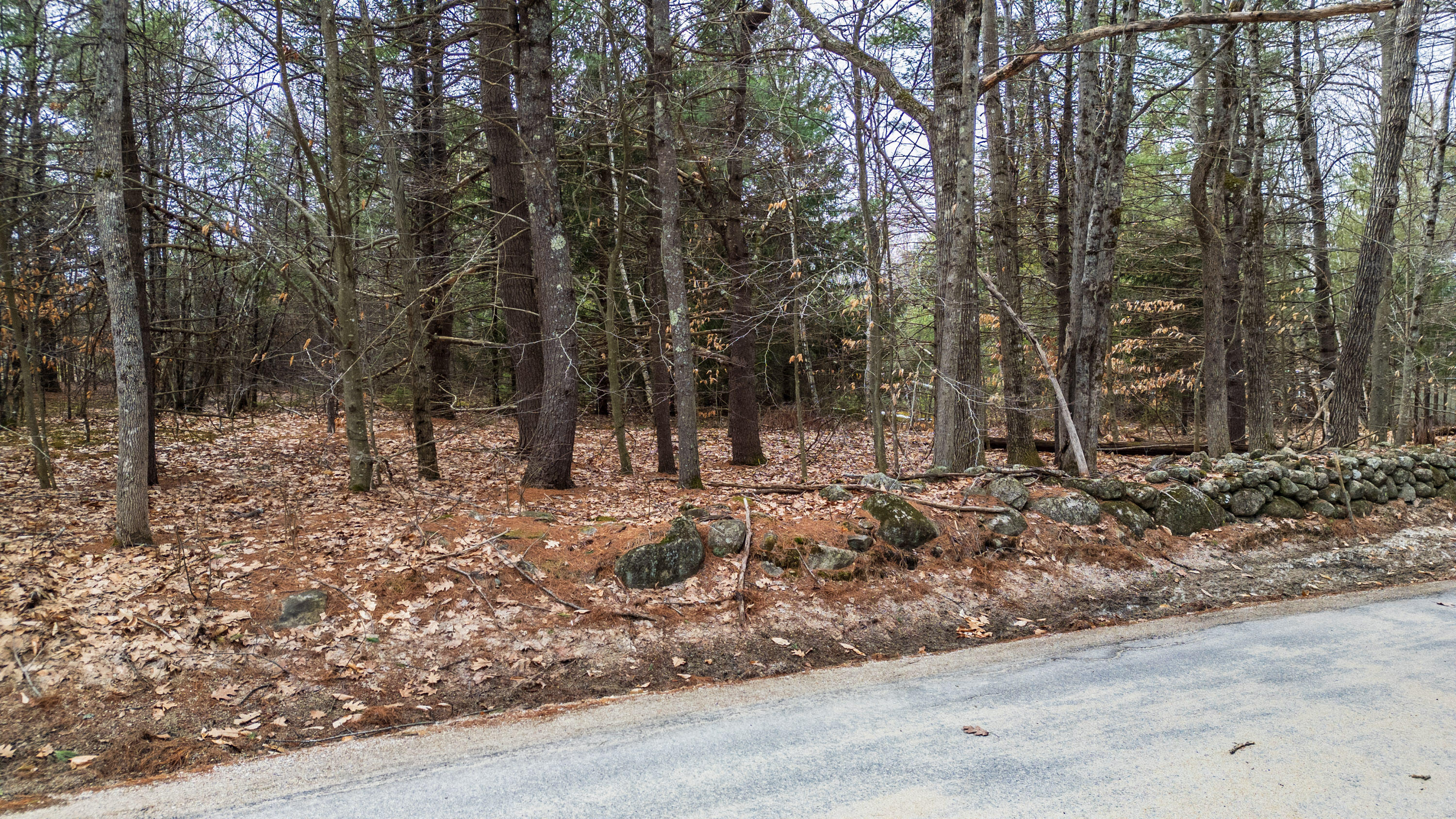 Lot 5 Dillon Road, Harrison, ME, 04040