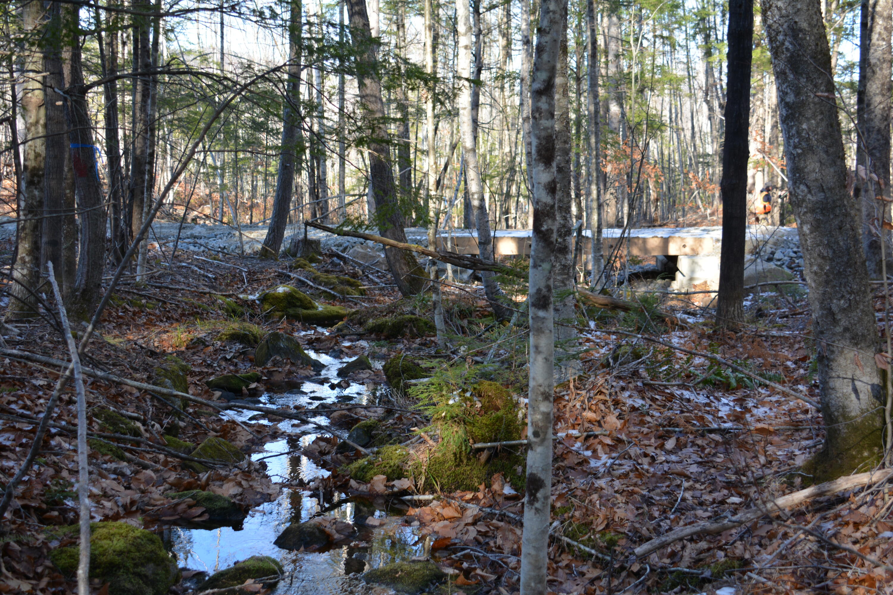 0 French Hill Road, Albany Twp, ME, 04217