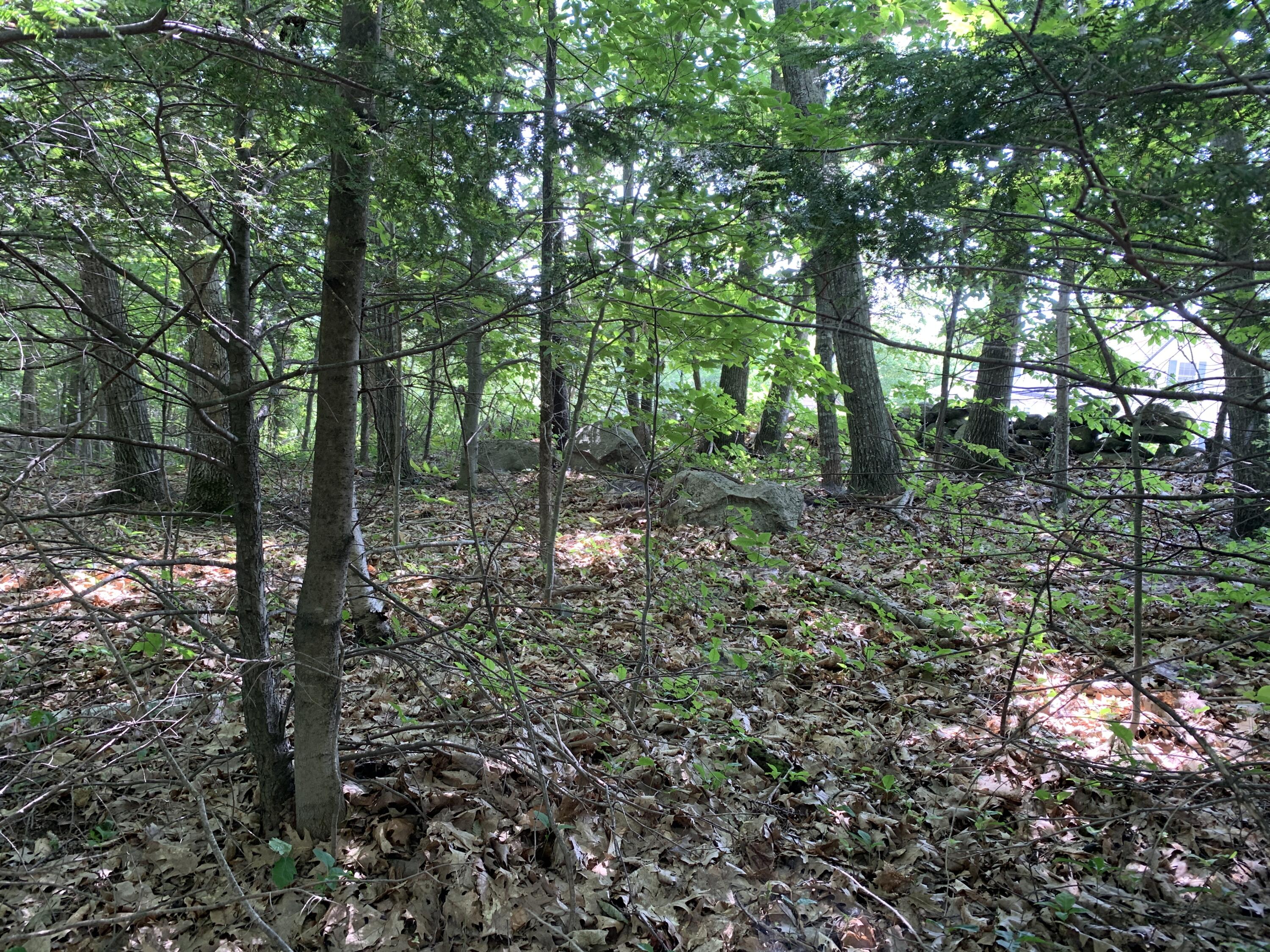Lot 12 Hallowell Road, Litchfield, ME, 04350