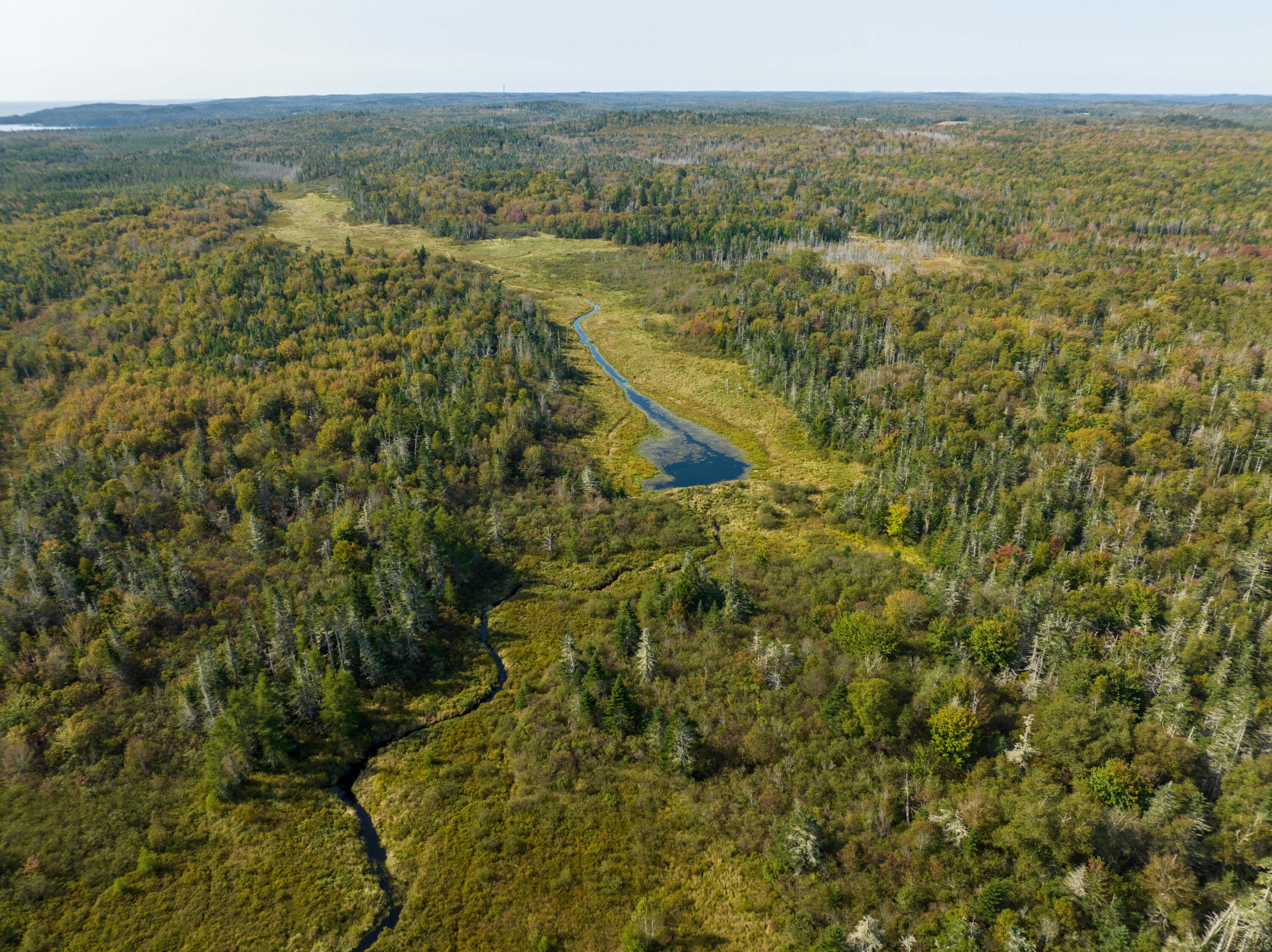 117 Denbow Road, Lubec, ME, 04652