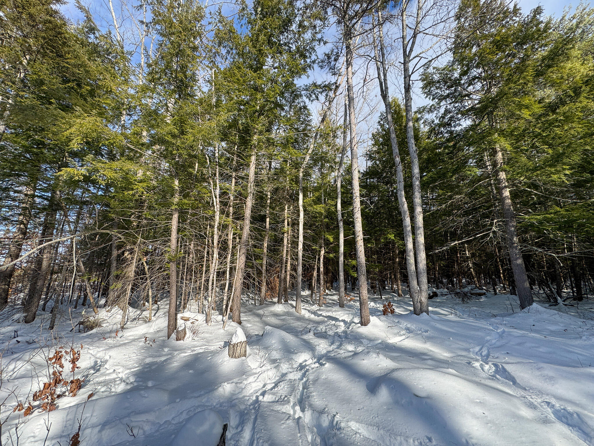 100 Sam Brown Hill Road, Brownfield, ME, 04010