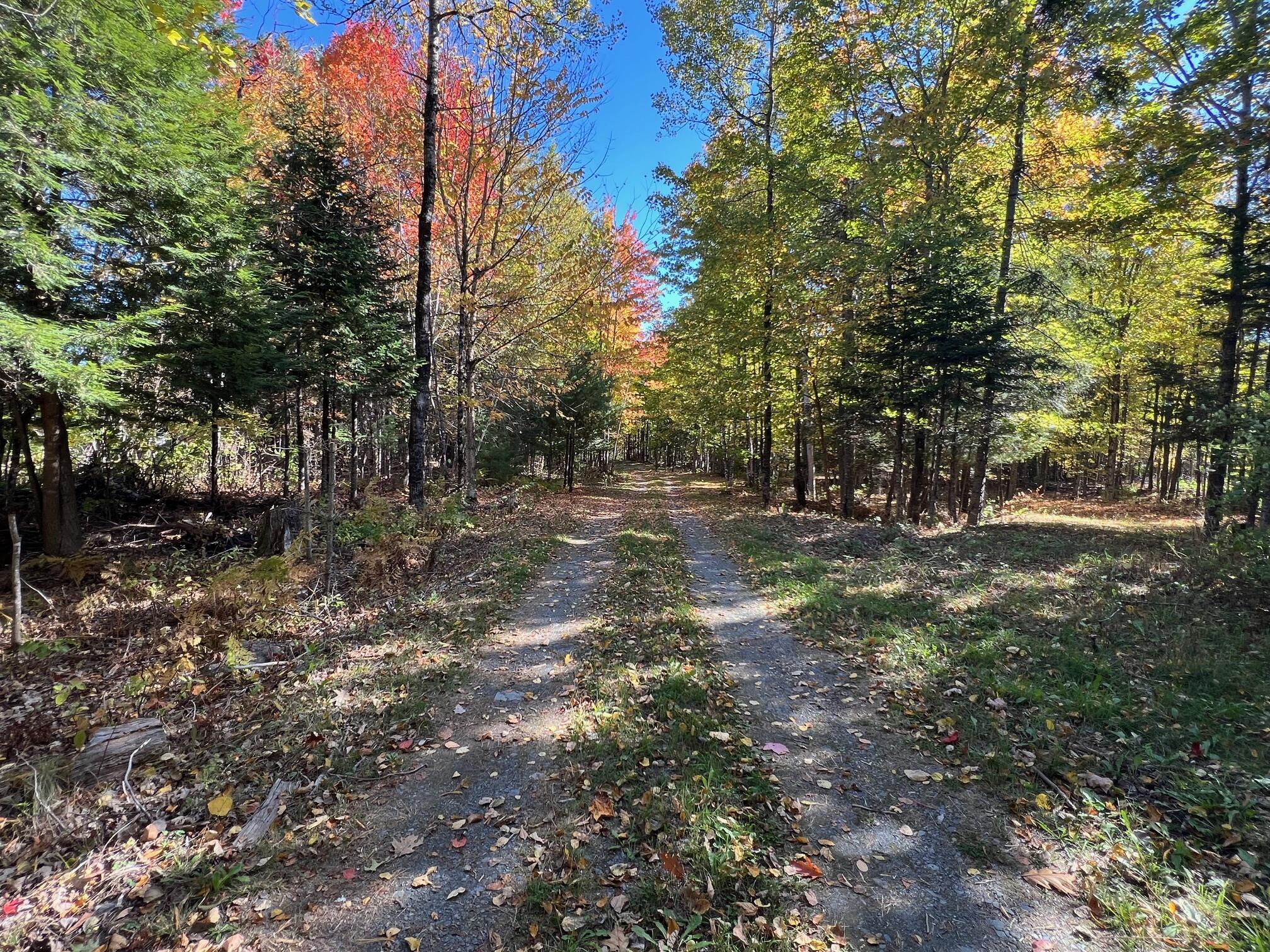 Map 10 Lot 68A Snows Pond Road, Dover-foxcroft, ME, 04426