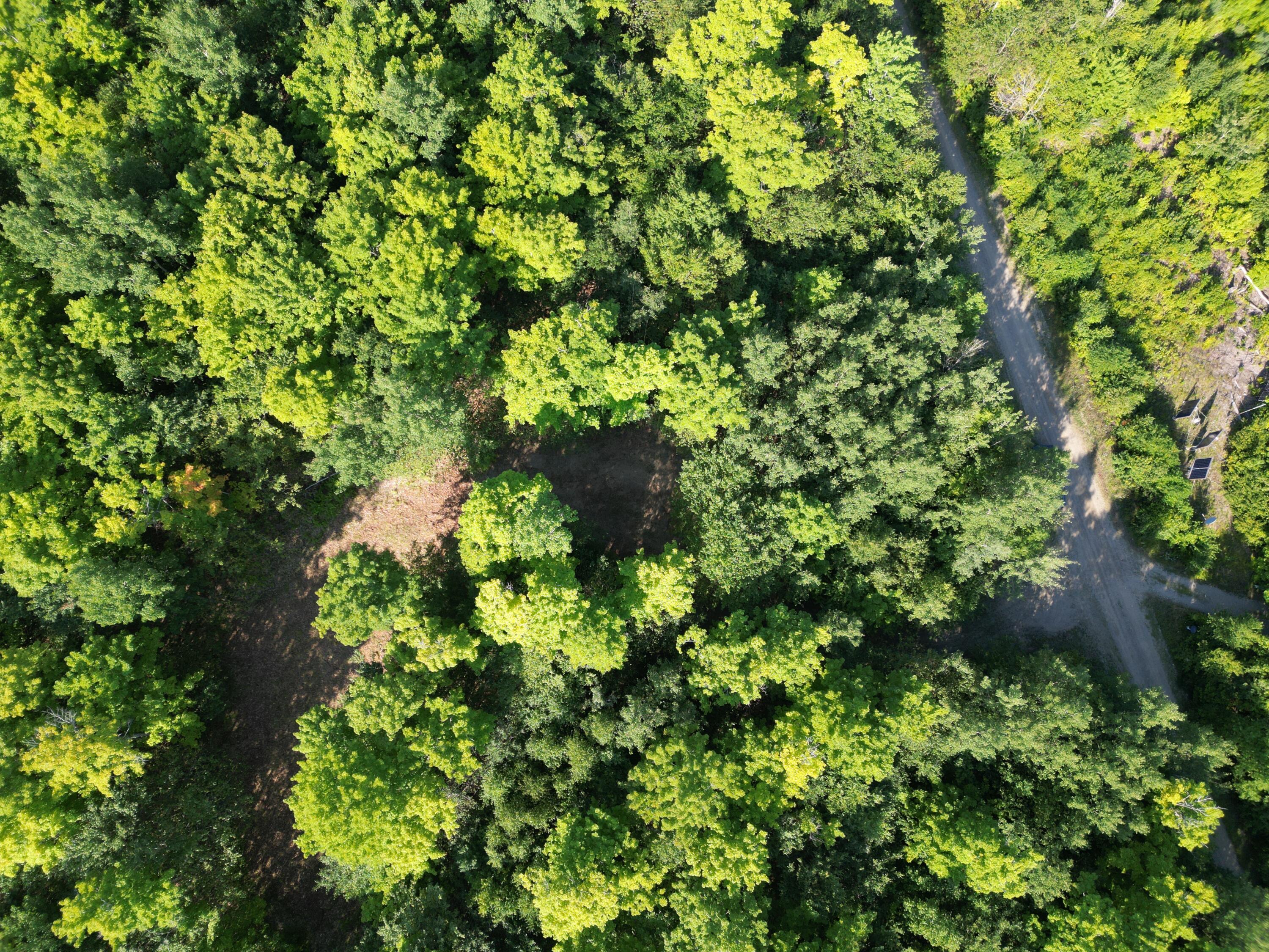 29 Spaulding Lane, Lee, ME 04455 DJI_0980