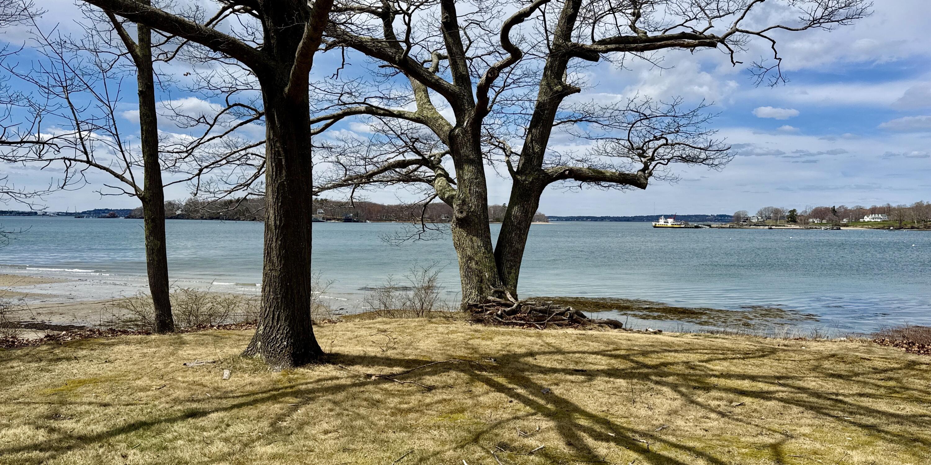 494 Island Avenue, Portland, ME, 04108