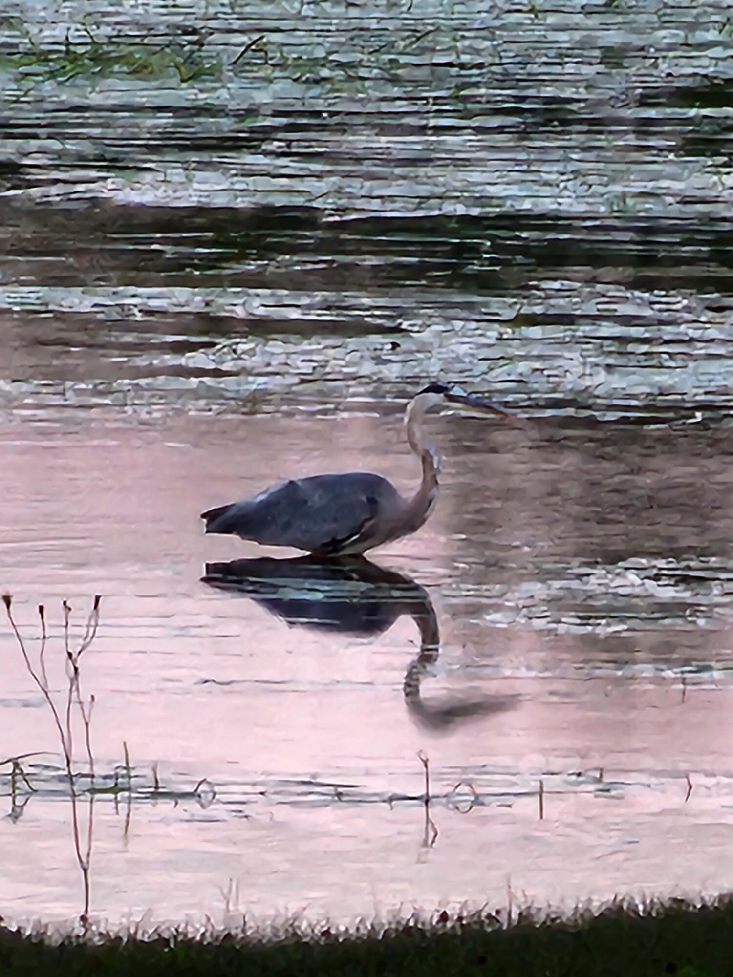 95 Silsby Road, Mariaville, ME, 04605