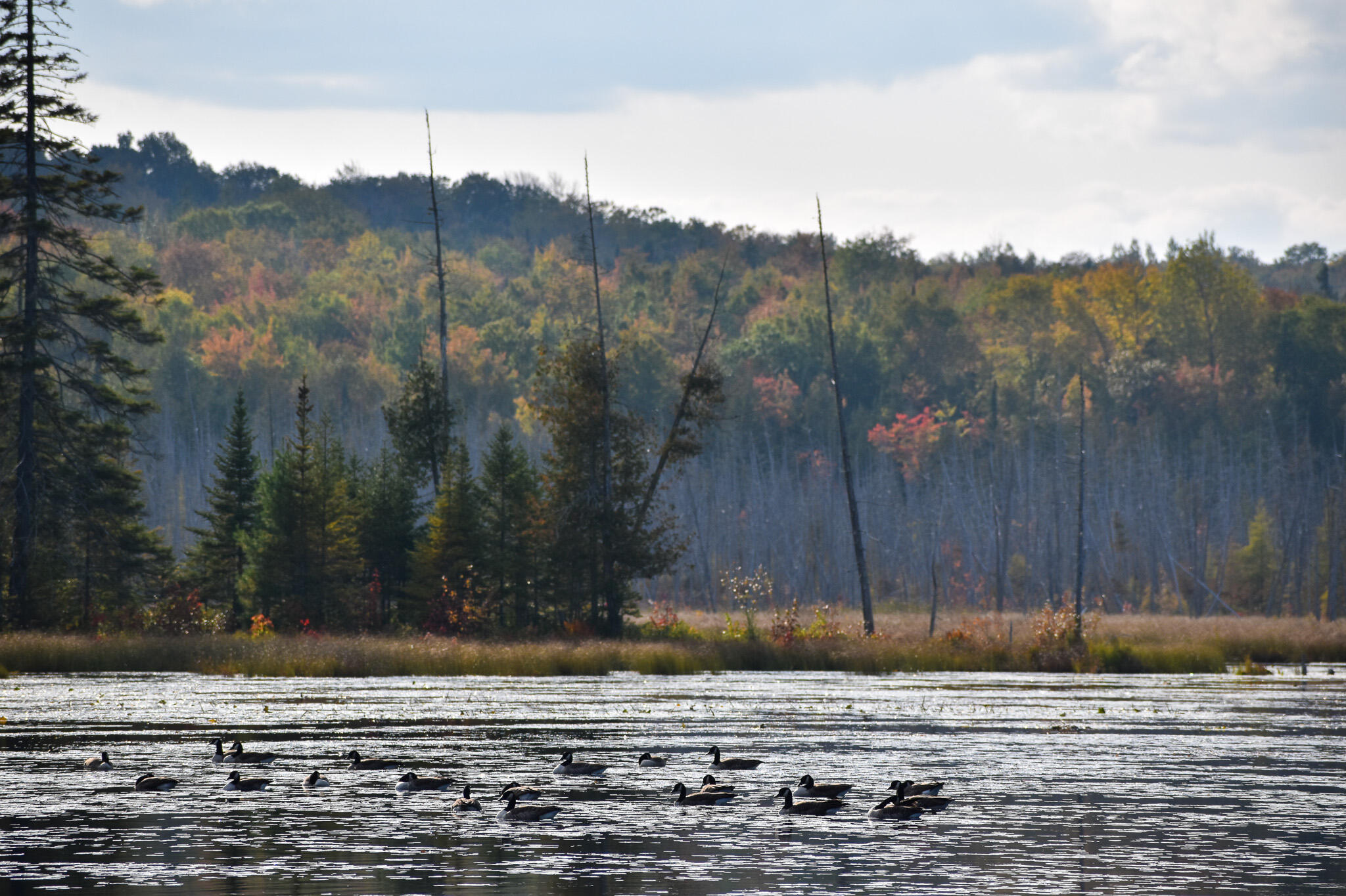 54 Carver Road, Milo, ME, 04463