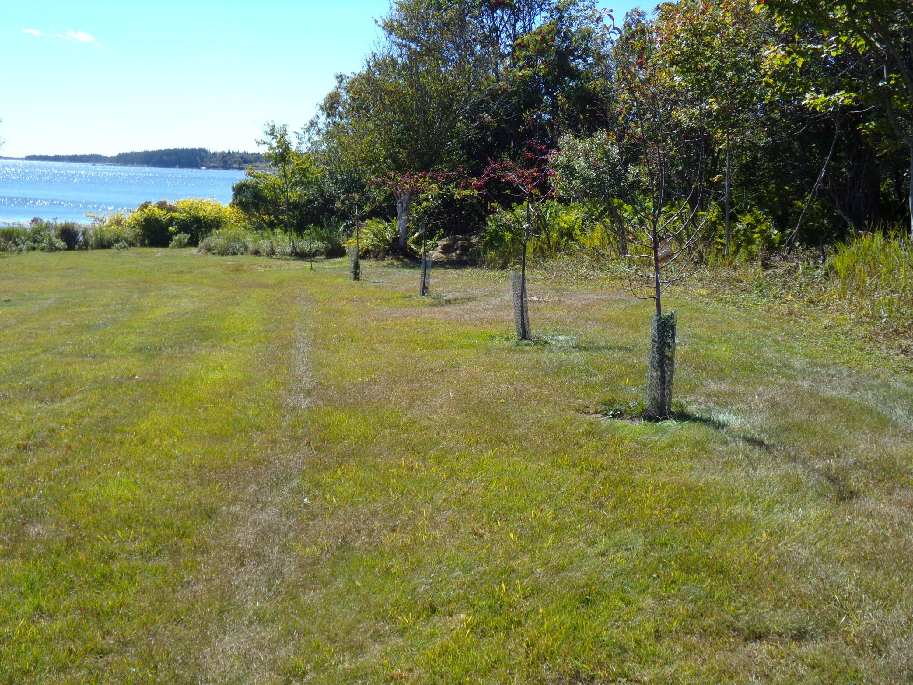 33 Chipman Point Road, Steuben, ME, 04680