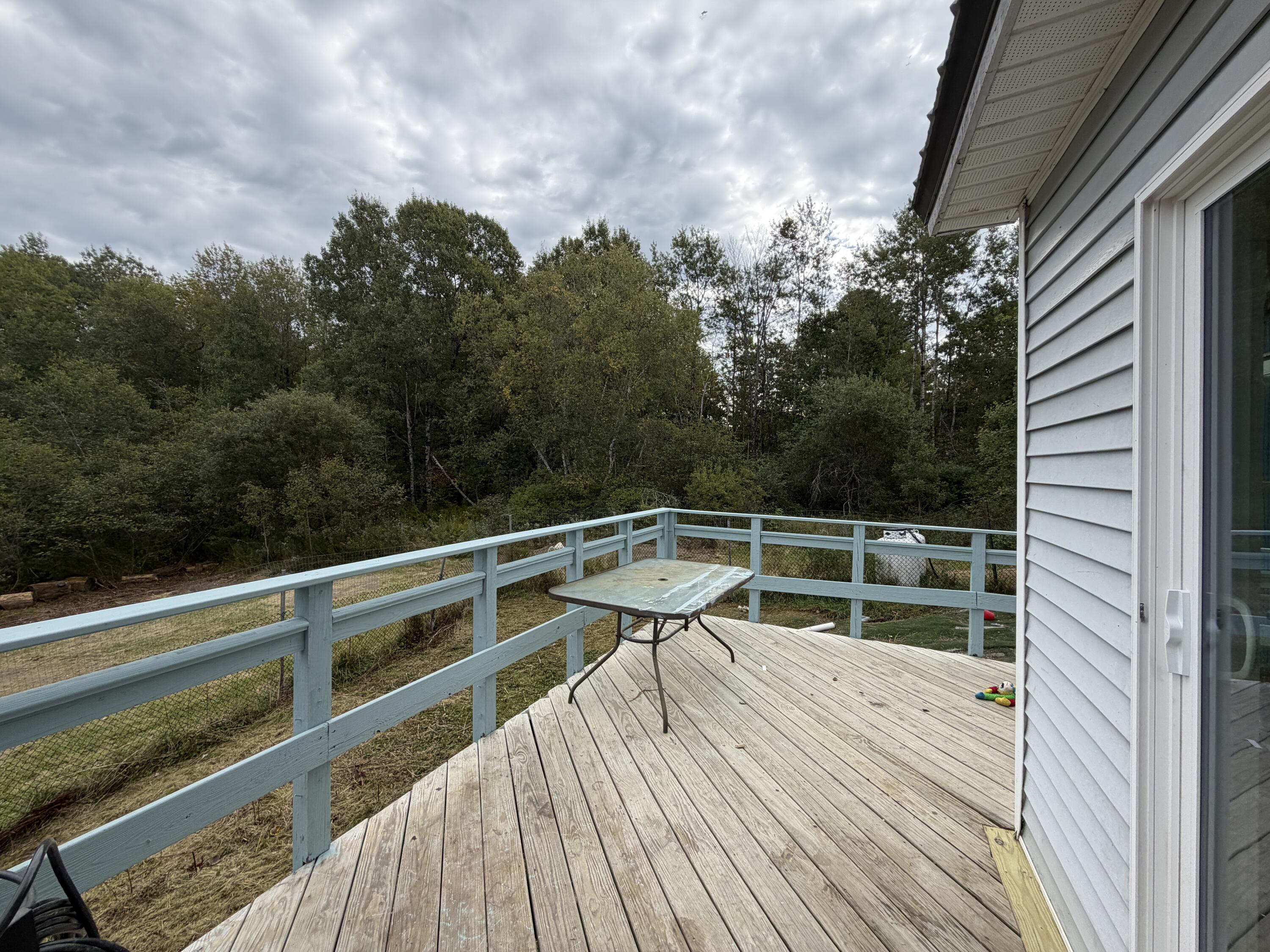Rear Deck Great for Bird Watching