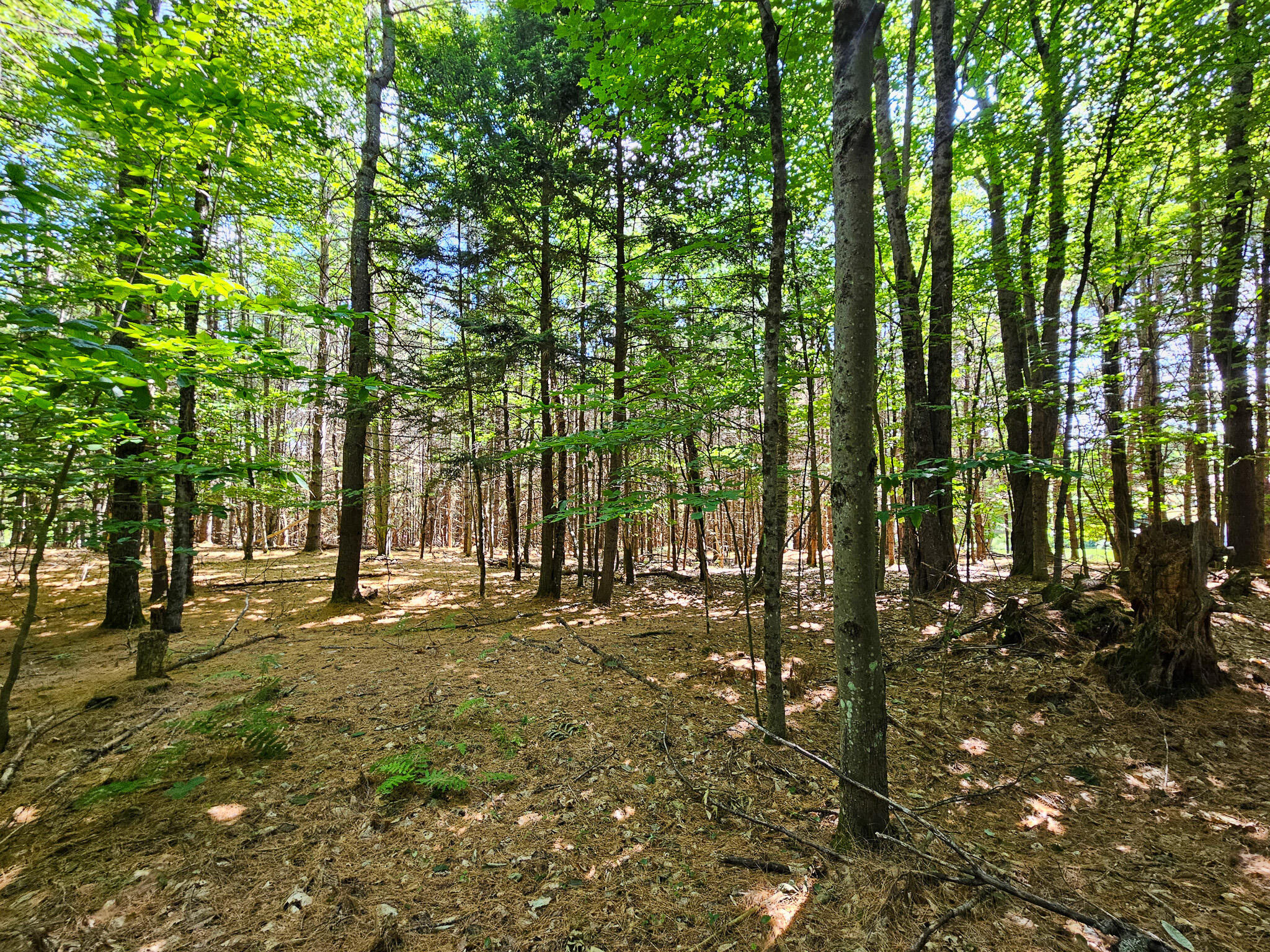 11-31-C Stone Hill Road, Farmington, ME, 04938