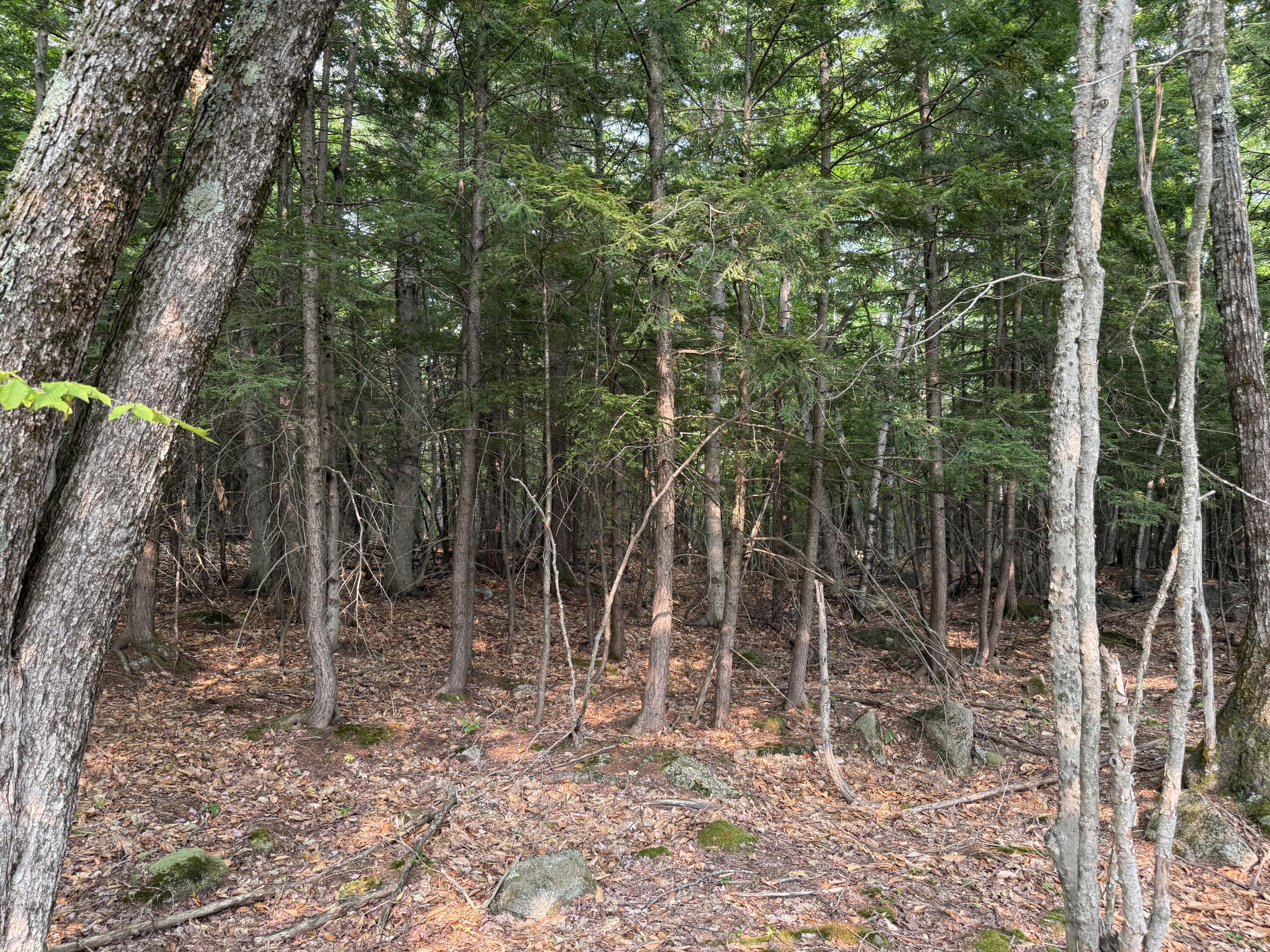 Lot 15-3B Sweden Road, Bridgton, ME, 04009
