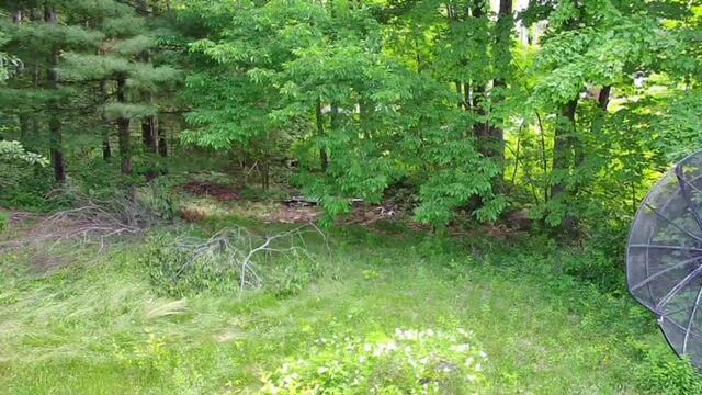 219 Senator Black Road