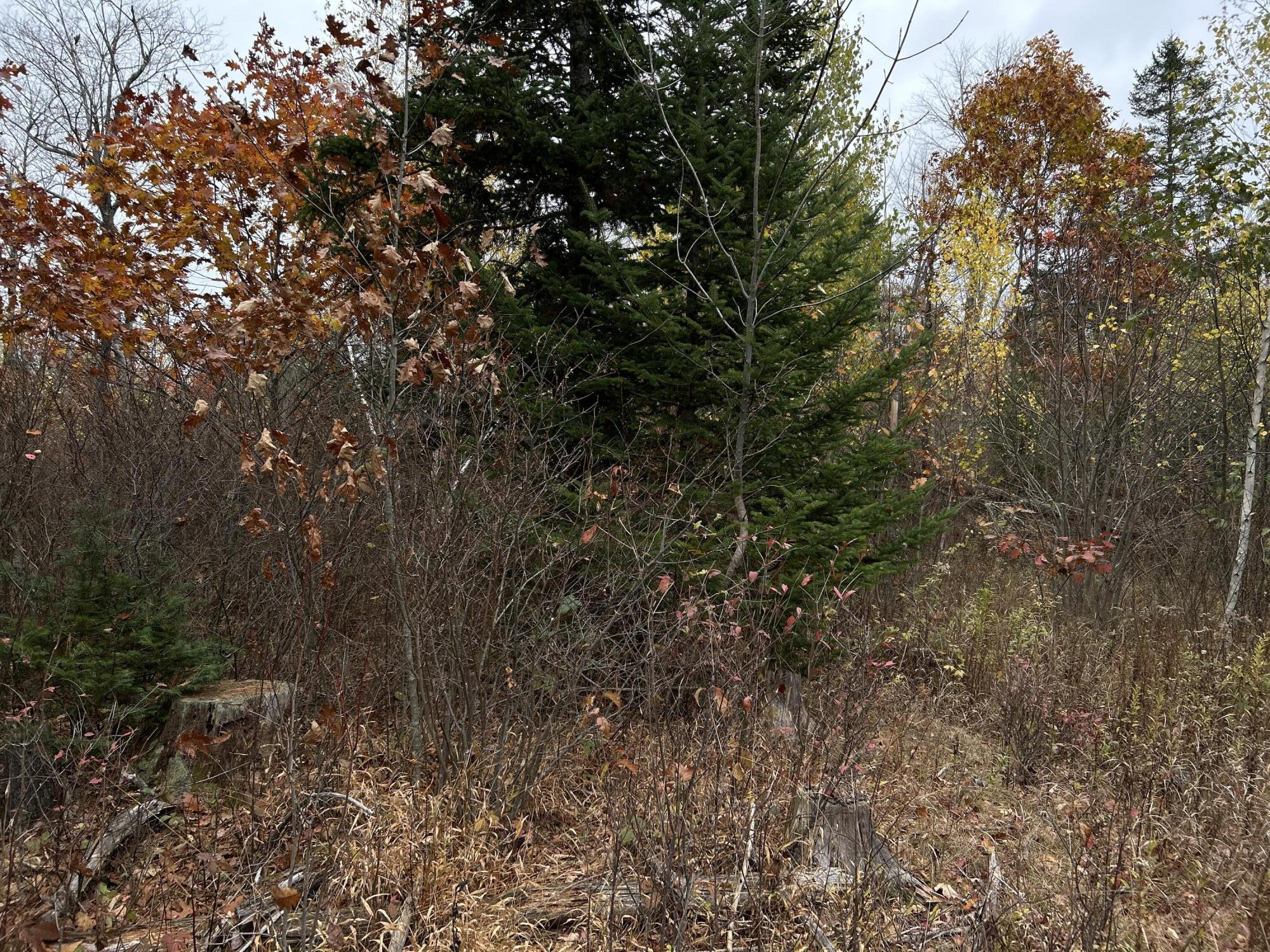 M4L18 Bog Road, Jackson, ME, 04921