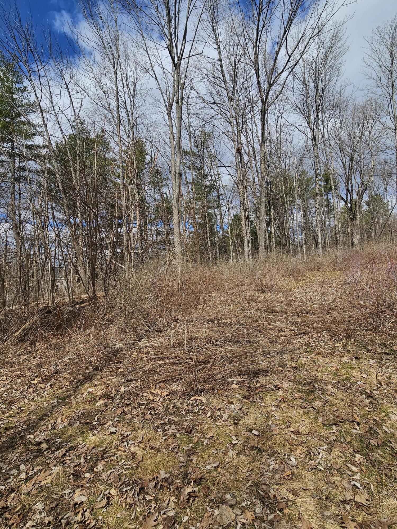 Lot 113-2 Cushman Road, Winslow, ME, 04901