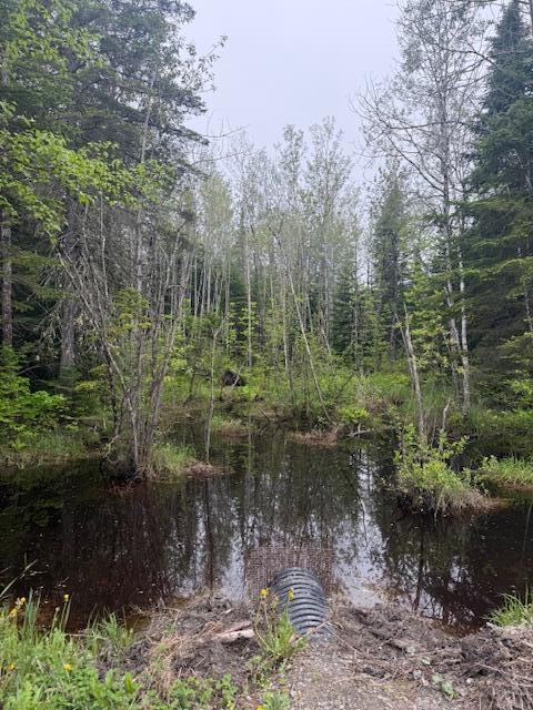 Lot UNIT&nbsp;3 Pleine Road, Saint Agatha, ME, 04772