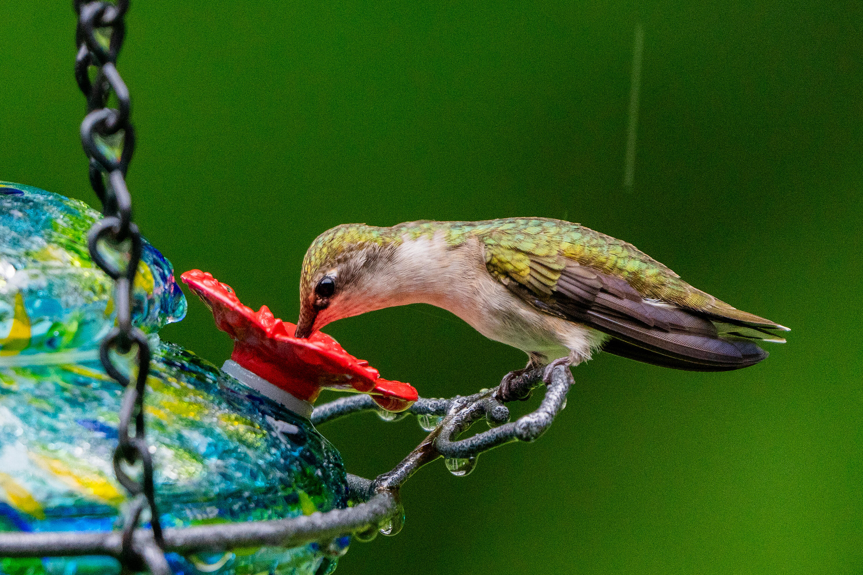 46 River Edge Drive, Woolwich, ME, 04579